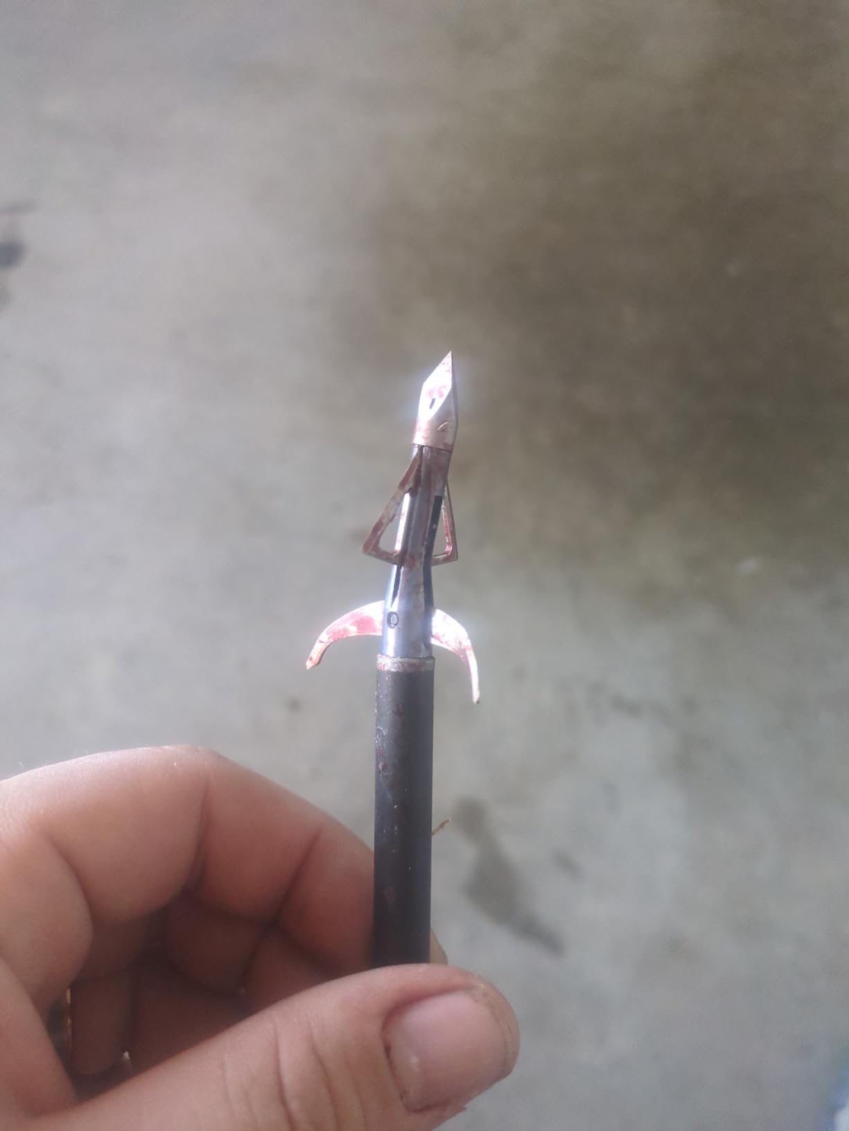 Bloodsport Gravedigger 4-Blade Hunting Hybrid Mechanical Broadhead with Chisel Tip - 100 Grains | 1