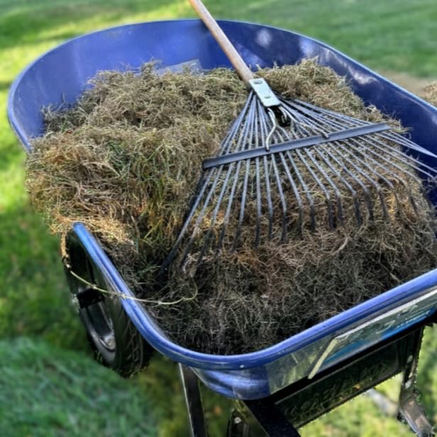 Sun Joe Corded Electric Dethatcher & Scarifier with 8-Gal Bag, 12.6-Inch Cutting Width, 12-Amp Motor - Heavy-Duty Yard Trimmer for Gardening Care and Lawn Maintenance, AJ801E customer photo 1