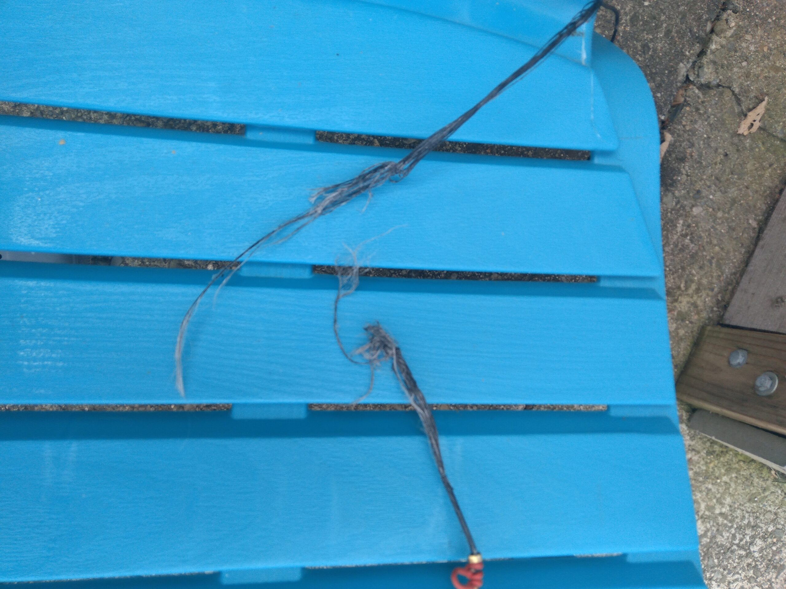 60X Custom Strings Black Fast Flight Compound Replacement Bowstring Bow (Multiple Sizes) customer photo 1