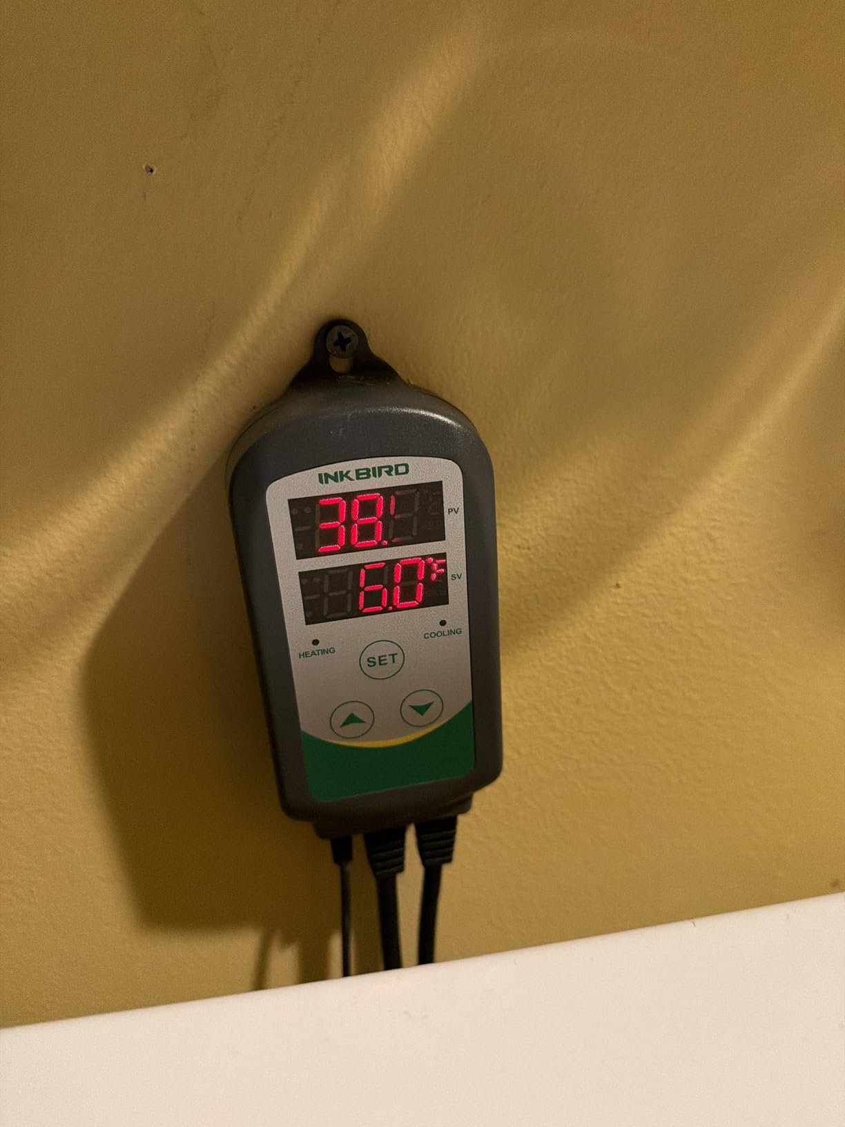 Inkbird ITC-308 Digital Temperature Controller 2-Stage Outlet Thermostat Heating and Cooling Mode Carboy Homebrew Fermenter Greenhouse Terrarium 110V 10A 1100W customer photo 2