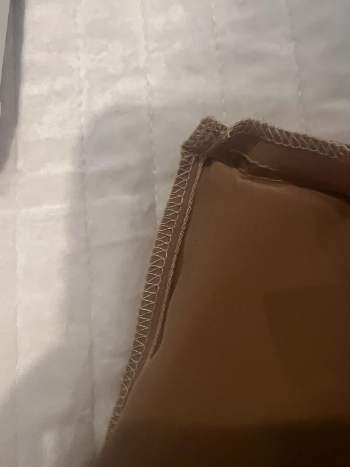 ZIMASILK 100% Pure Mulberry Silk Pillow Cases for Hair and Skin, Soft, Hypoallergenic & Smooth, Both Sides Grade 6A Silk, with Hidden Zipper, Gift for Women Men, 1pc (Queen 20''x30'', Taupe) customer photo 2