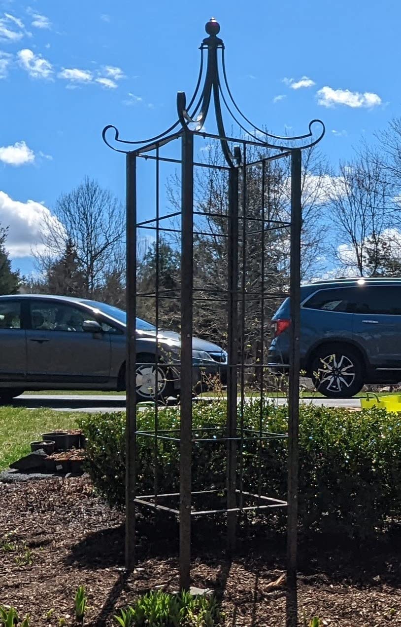 H Potter Garden Obelisk Trellis 7.5 FT Tall - 77-Lb Heavy Duty Iron for Climbing Roses, Clematis, Jasmine - Decorative Finial, Ground Spikes Included, Freestanding customer photo 1