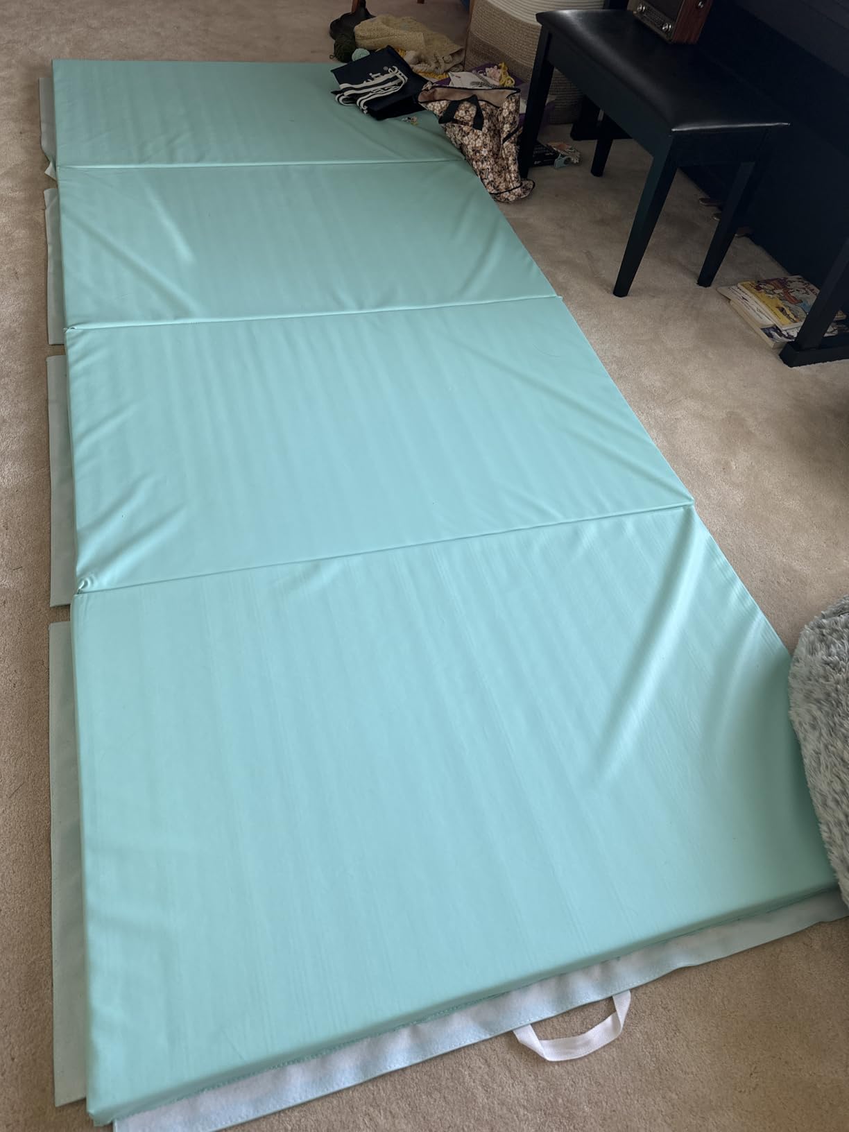 Best Choice Products 10ftx4ftx2in Folding Gym Mat 4-Panel Exercise Gymnastics Aerobics Workout Fitness Floor Mats w/Carrying Handles customer photo 1