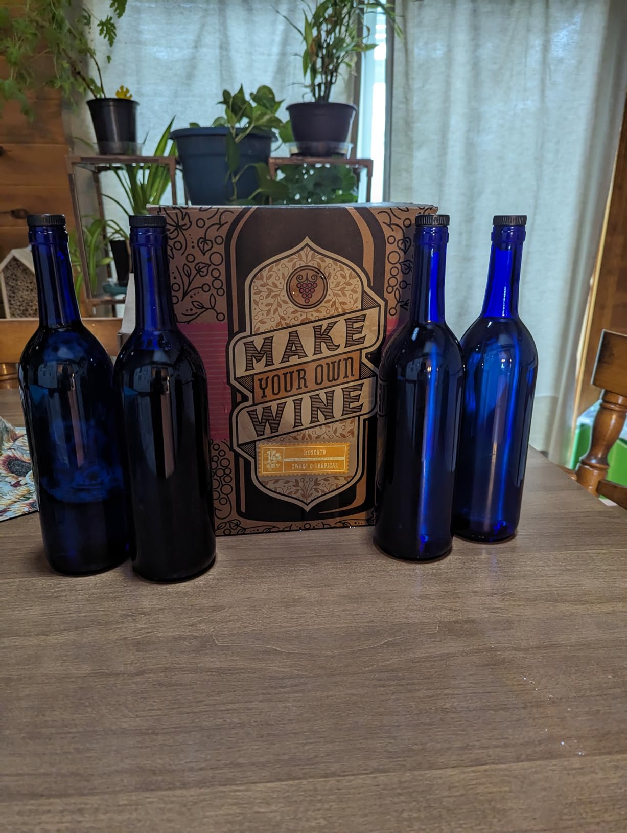Craft A Brew - Cabernet Sauvignon Wine Kit - Easy for Beginners - At Home Wine Making Kit - Includes Ingredients & Reusable Equipment - Ready to Drink in 4 Weeks - Makes 1 Gallon customer photo 1