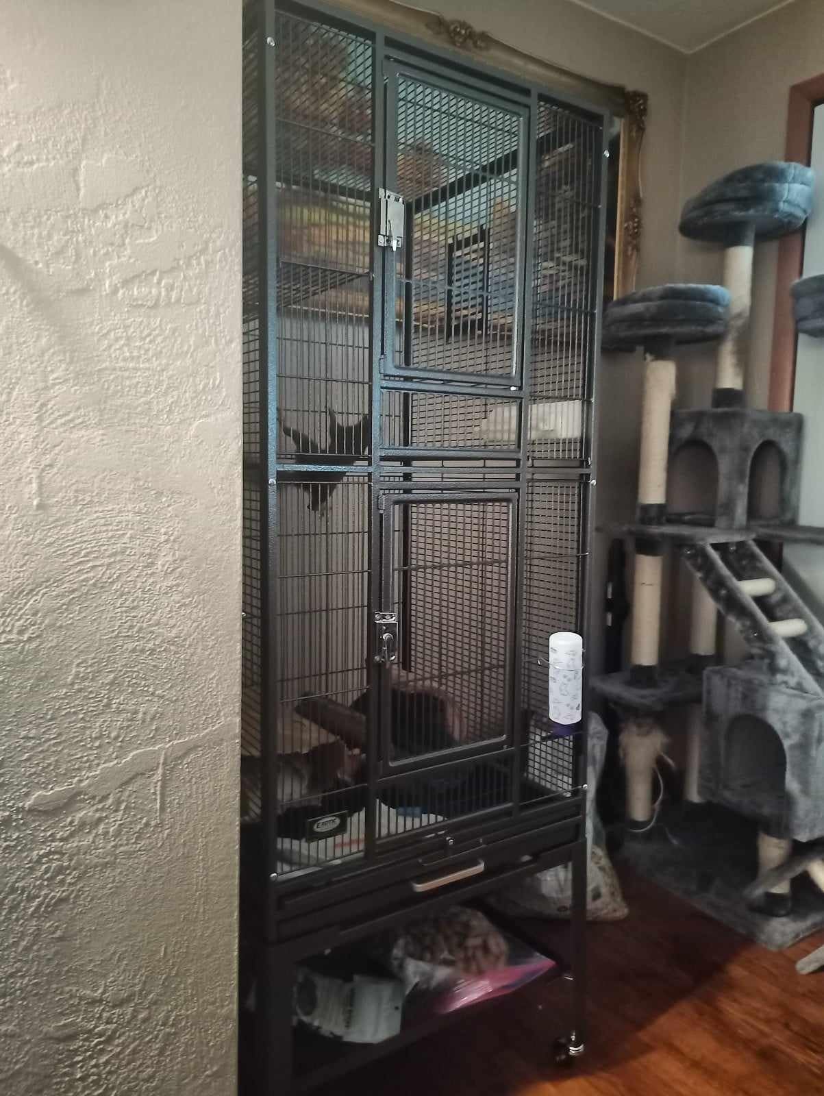 Madagascar Cage - 60