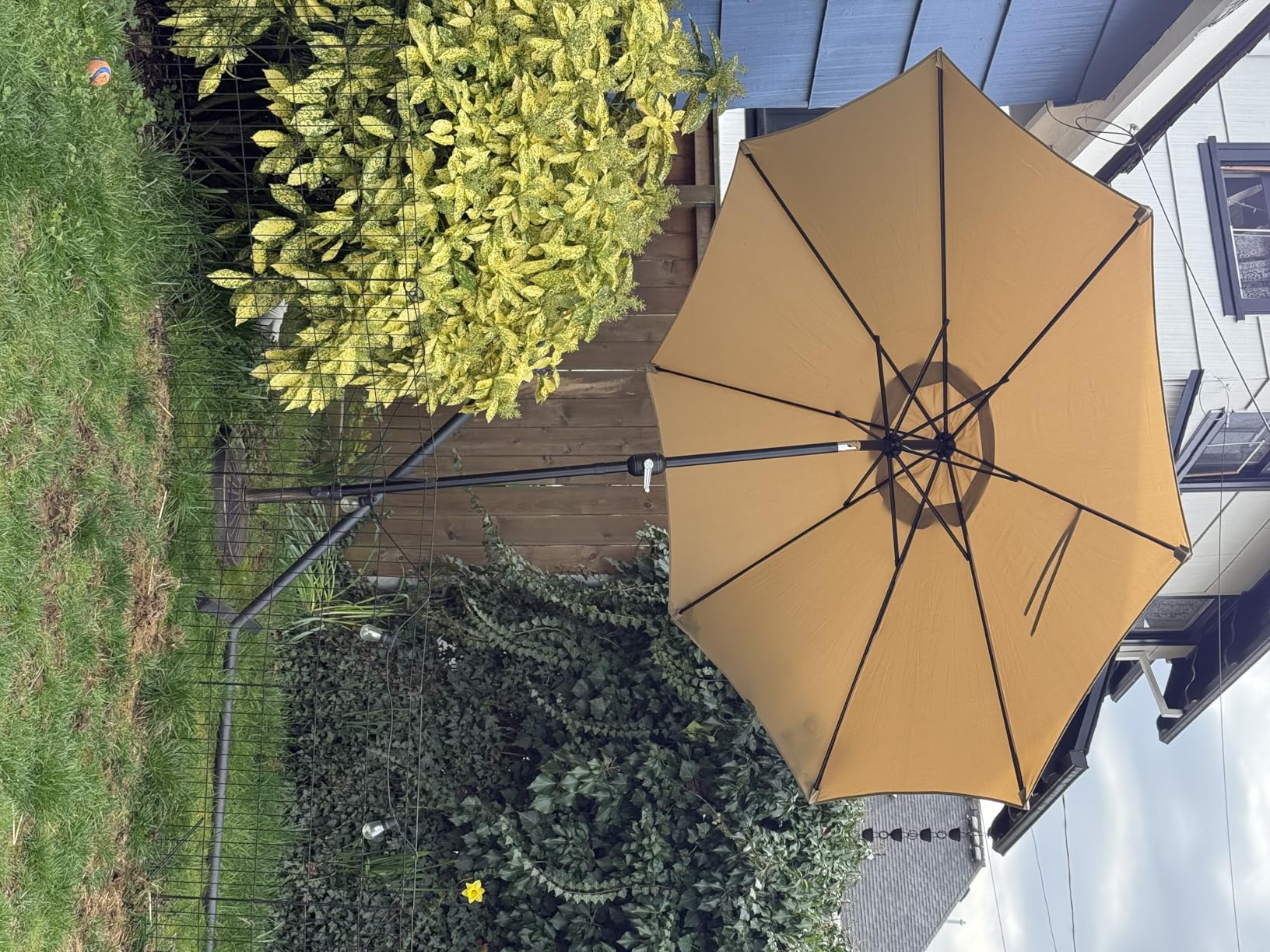 Sunnyglade 9' Patio Umbrella Outdoor Table Umbrella with 8 Sturdy Ribs (Red) customer photo 1