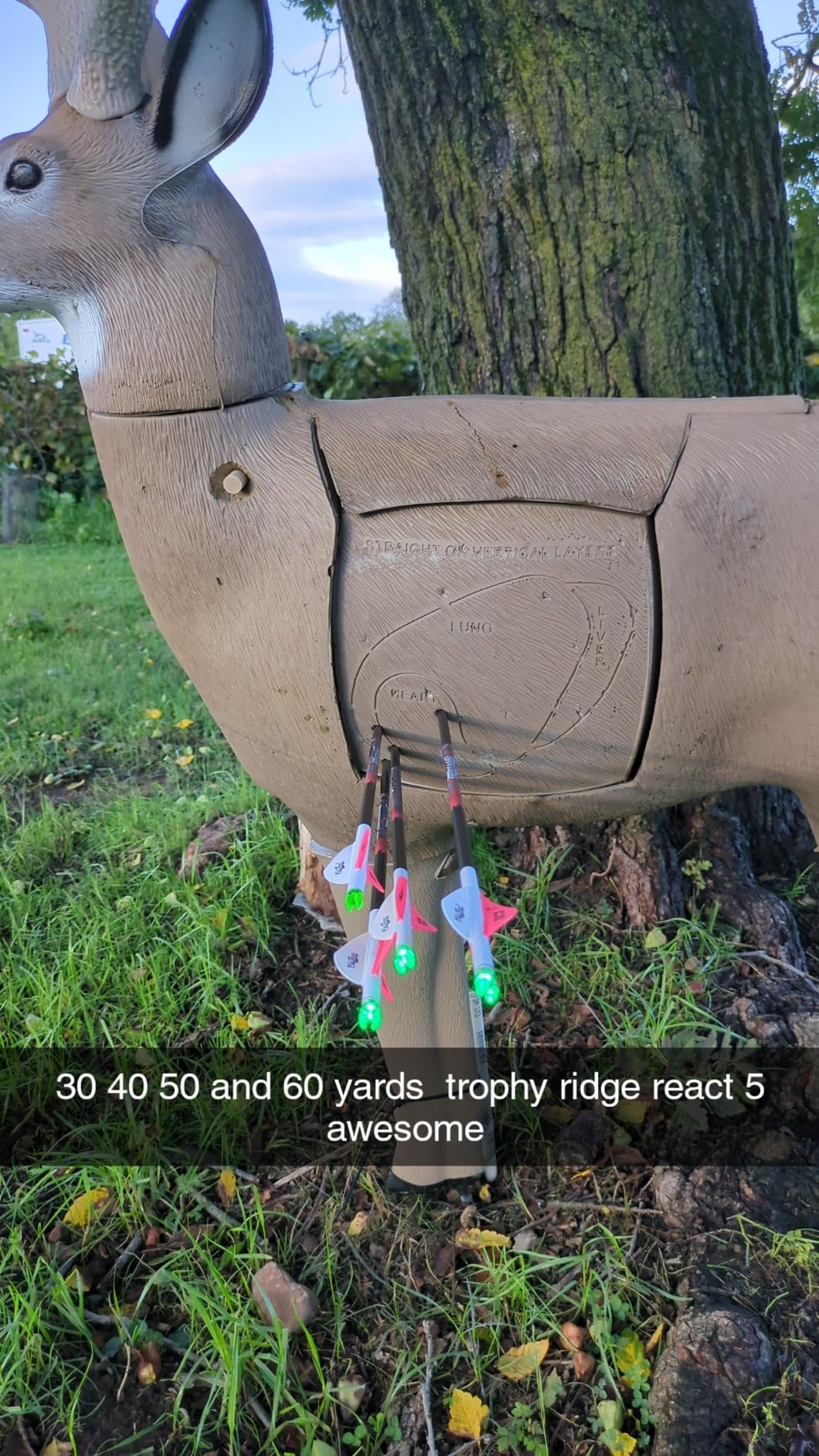 Trophy Ridge React H5 Bow Sight - 5 Pin Sight, Tool Less Windage and Elevation Adustability, 2nd Axis Leveling, Adjustable Click Light customer photo 2