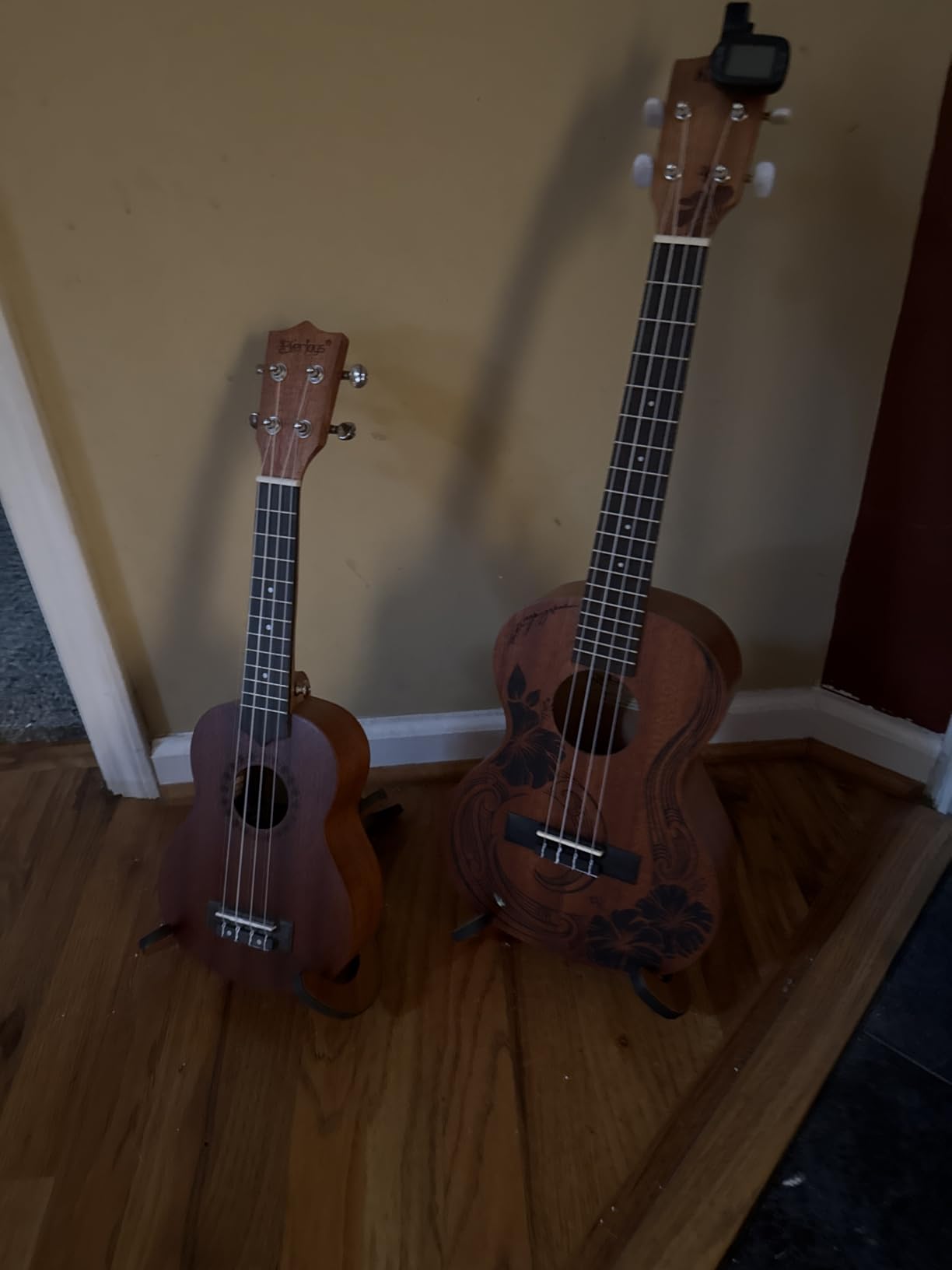 Everjoys Soprano Ukulele Beginner Pack-21 Inch w/Rainbow String Free Online Lesson Gig Bag Digital Tuner Pick All in One Kit customer photo 1