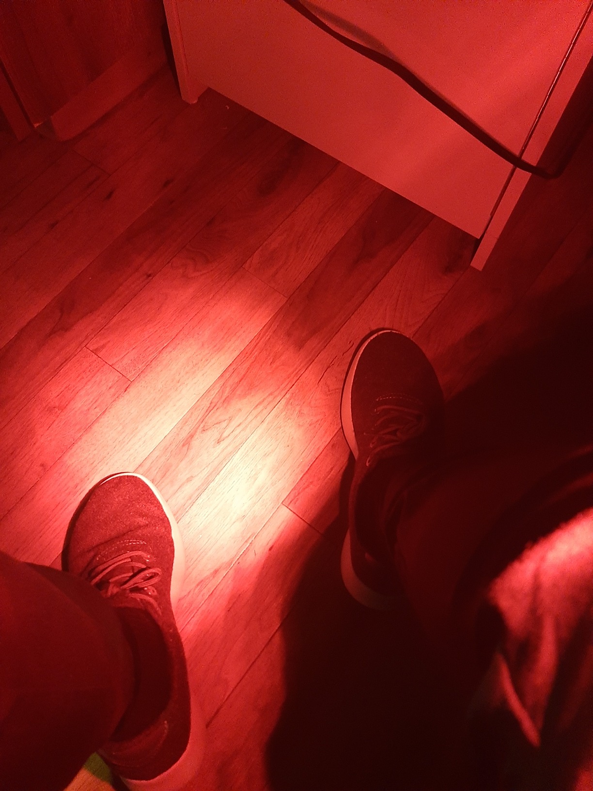 Carson RedSight Red LED Flashlight For Reading Astronomy Star Maps and Preserving Night Vision with Two Brightness Settings (SL-33) X-Large customer photo 1