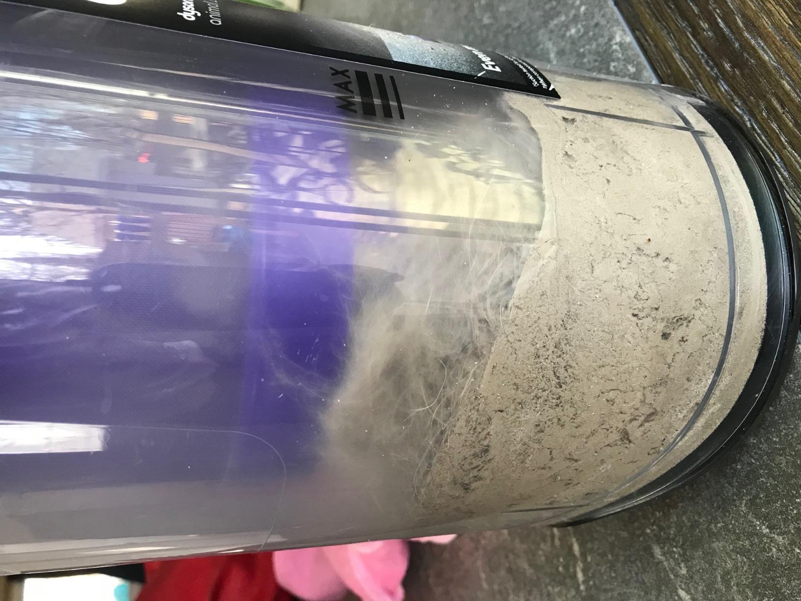 Upright Vacuum Cleaner, Ball Animal 2, Iron/Purple customer photo 2