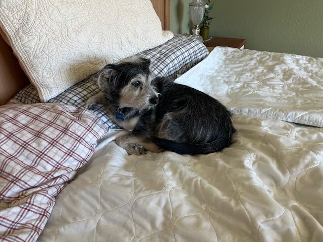 Epica Bed Pads Washable Waterproof - 34