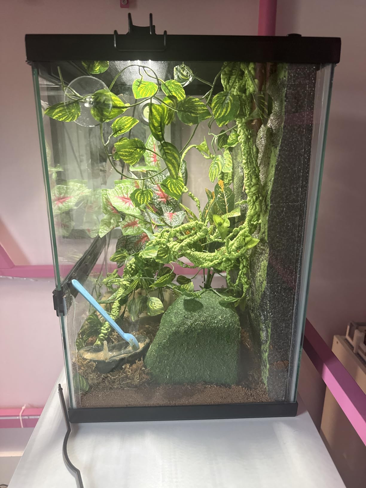 Zilla 11 Gallon Glass Tropical Vertical Habitat Starter Kit for Small Tree Dwelling Reptiles & Amphibians customer photo 2