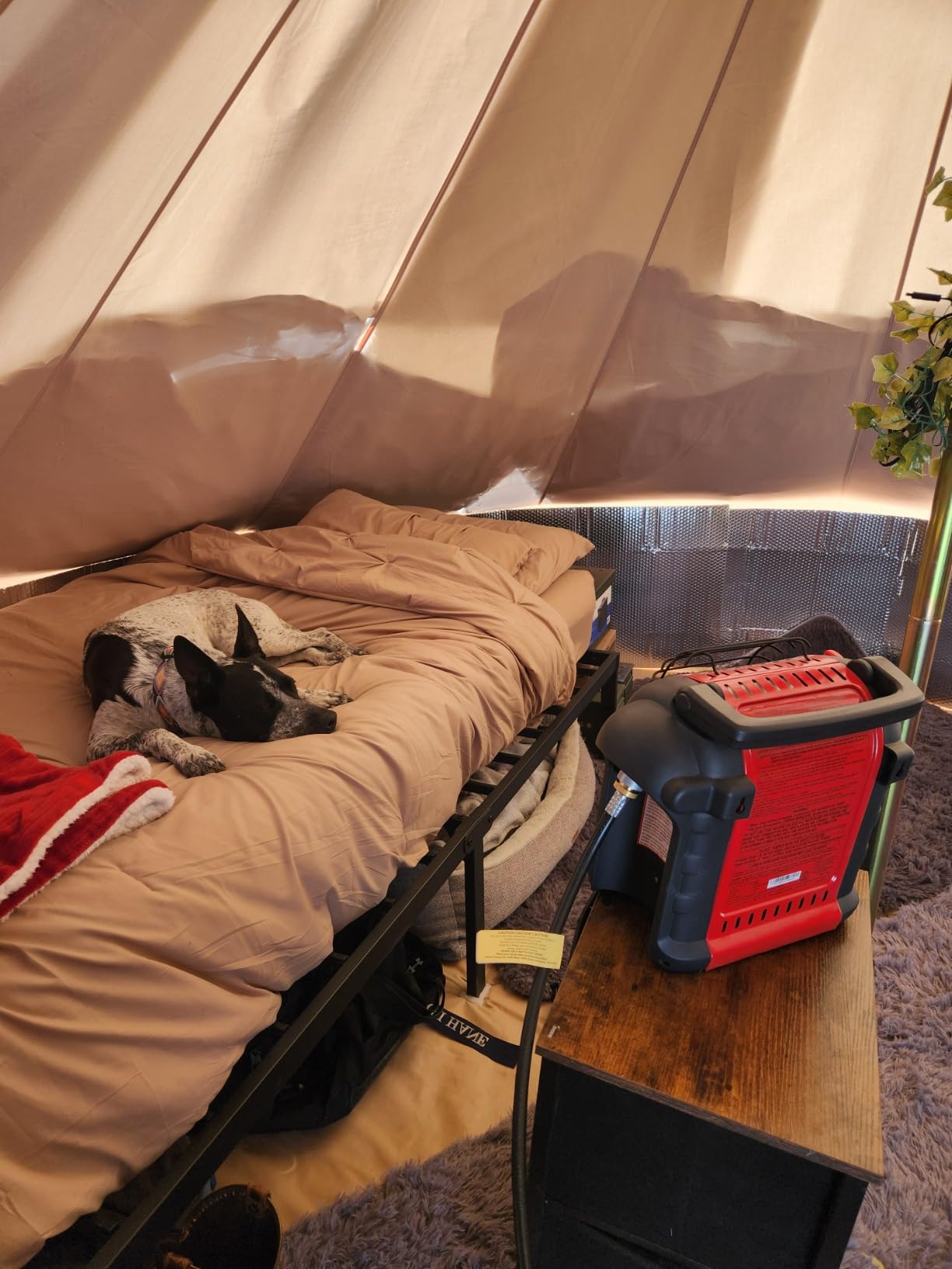 DANCHEL OUTDOOR B5PRO 4 Season Canvas Tent with Stove Jack Camping, Waterproof Bell Tent with AC Port Yurt All Year Living, Luxury Glamping for 4/6/8 Person Hunting Party customer photo 1