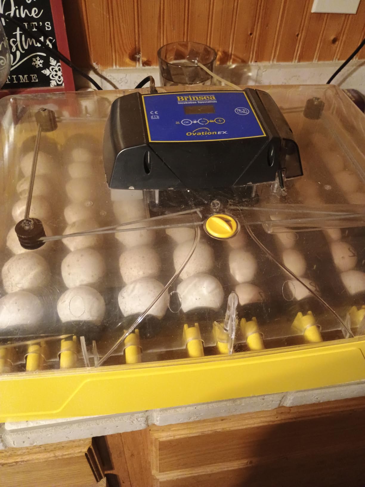 Brinsea Ovation 56 EX 56-Egg Incubator with Automatic Humidity Control - Incubators for Hatching Eggs with Digital Alarms - Programmable Turning for Chicken and Duck customer photo 2