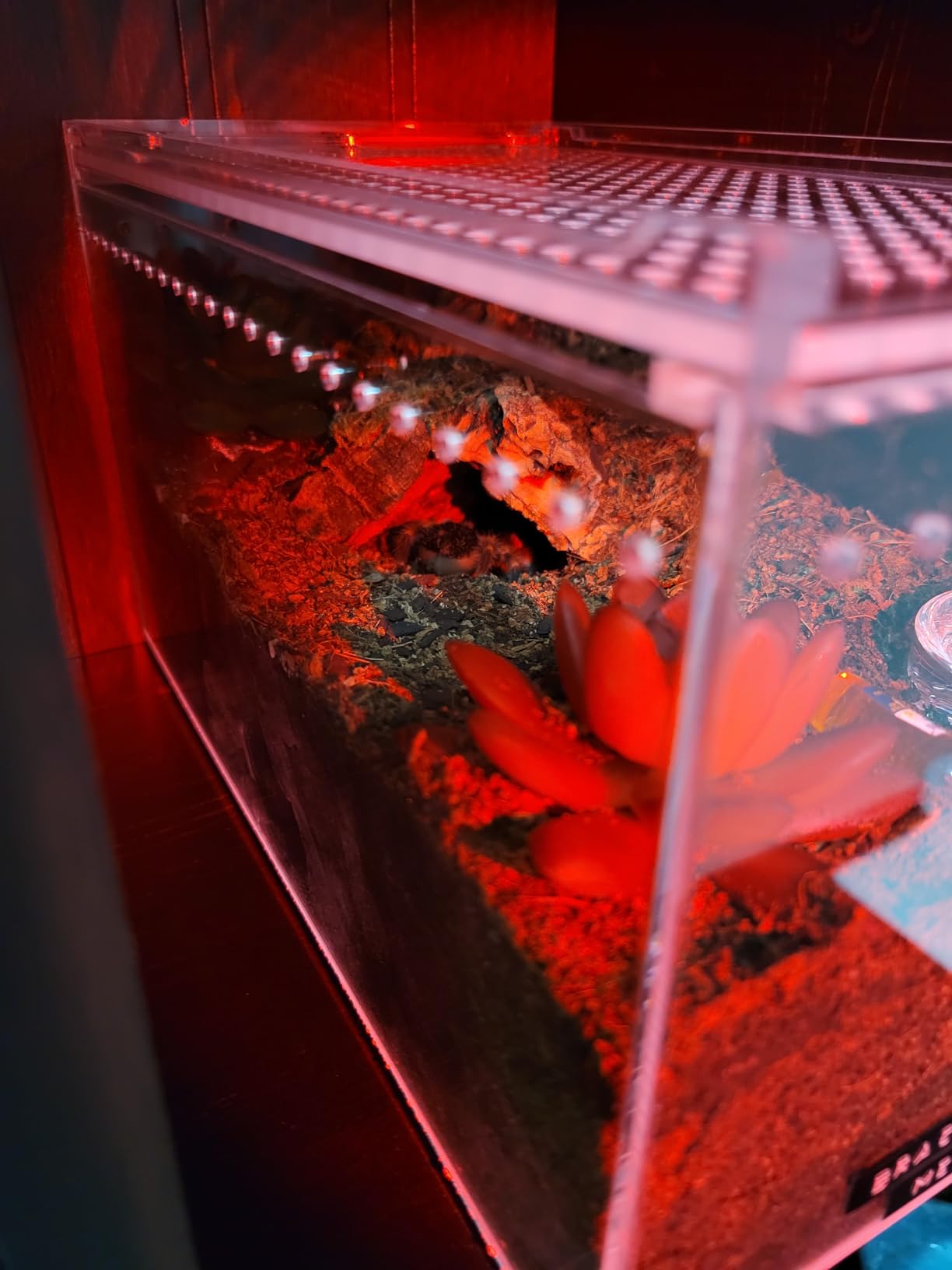 High Power 1 Mode Red LED Flashlight, Single Mode Red Flashlight, Red Light Flashlight Red Light Torch for Astronomy, Aviation, Night Observation customer photo 1