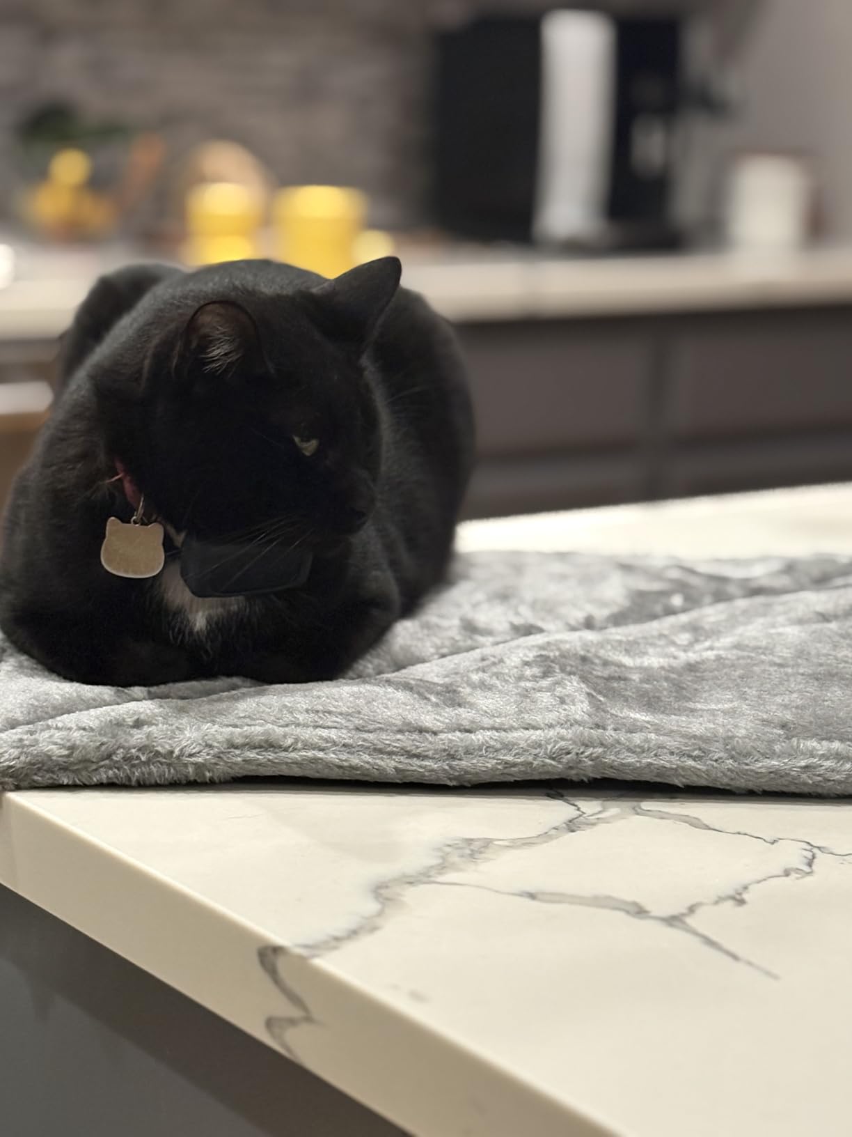 FurHaven ThermaNAP Self Warming Cat Mat, Dog Bed for Crates with Self-Warming Technology for Cozy Rest, Fully Machine Washable, Small, Plush Faux Fur, Gray customer photo 2