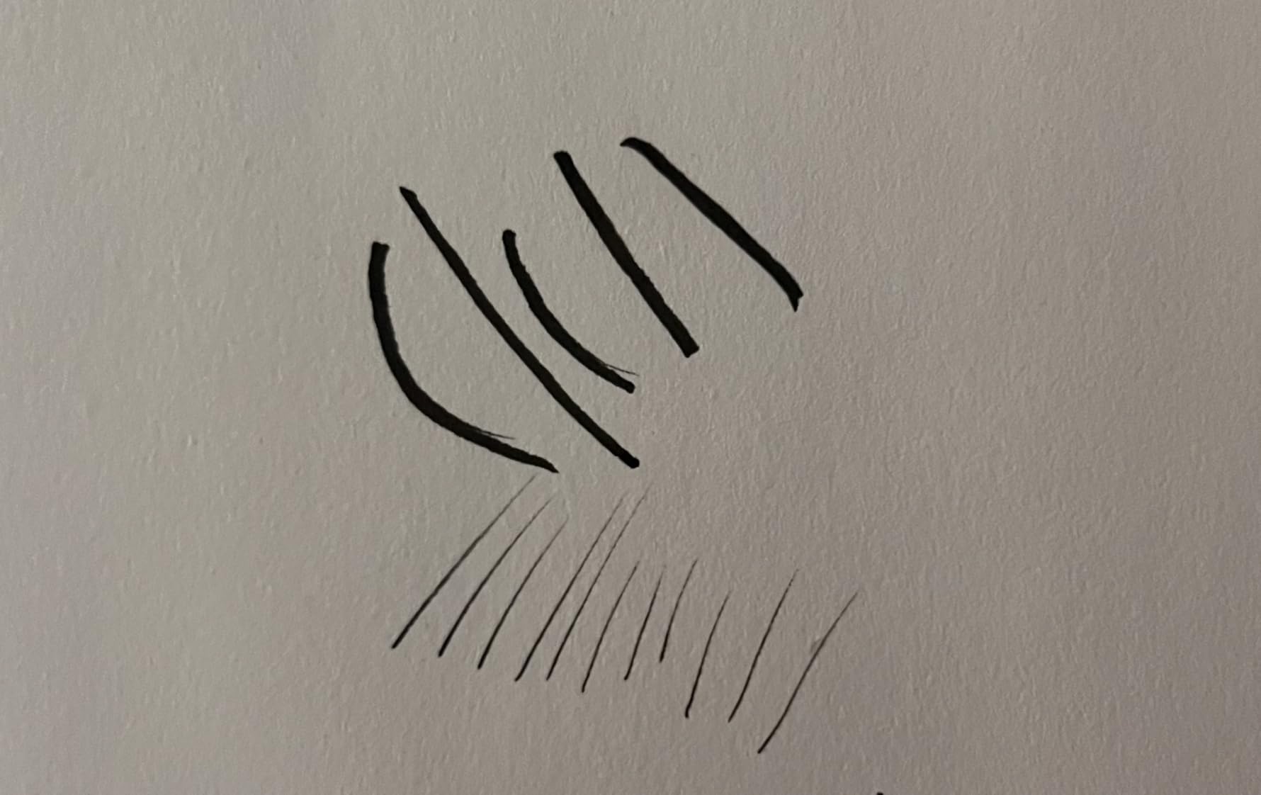 Kuretake Bimoji Brush Pen, 5 pcs set (Extra Fine, Fine, Medium, Large, Medium Brush), great for Calligraphy, Hand lettering and Illustration, for Beginners and Professional, Made in Japan customer photo 2