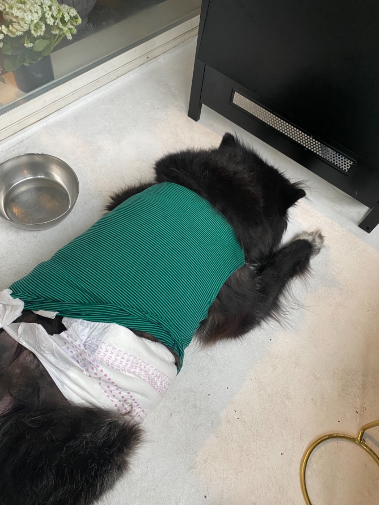 Medline MTB80300Z Extended Wear Overnight Adult Brief with Tabs, Maximum Absorbency, Medium, Pack of 15 customer photo 1