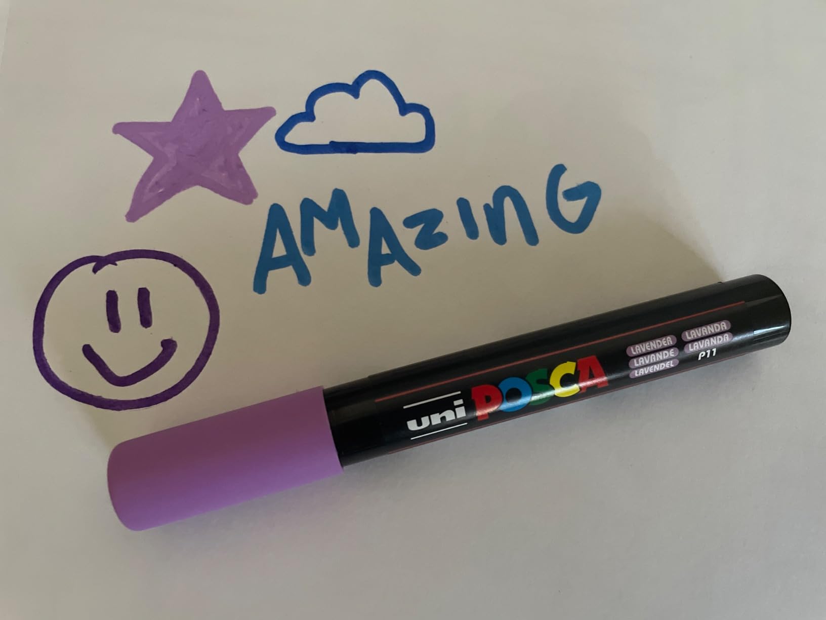 Uni Posca Paint Markers, 5M Medium Acrylic Markers with Reversible Tips, Artist Recommended for Gifts, Decorations, Fabric, Metal, Glass, Wood and Canvas, Assorted Colors, Set of 29 customer photo 1