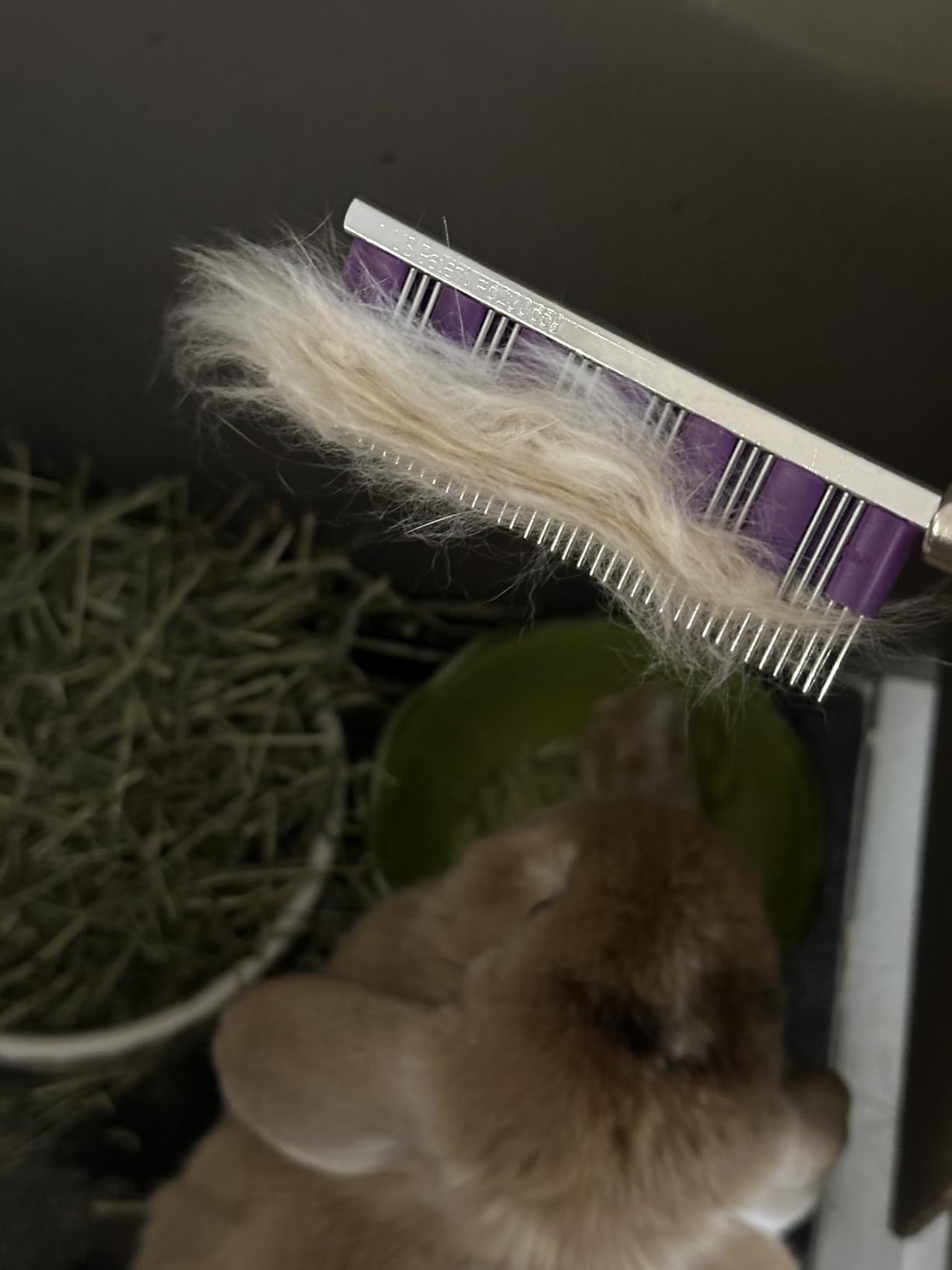 Small Pet Select - Hair Buster Comb for Rabbits, Cats and Dogs, Metal Pet Comb for Shedding and Detangling, Grooming Tool for Small Pets with Long and Short Fur customer photo 1