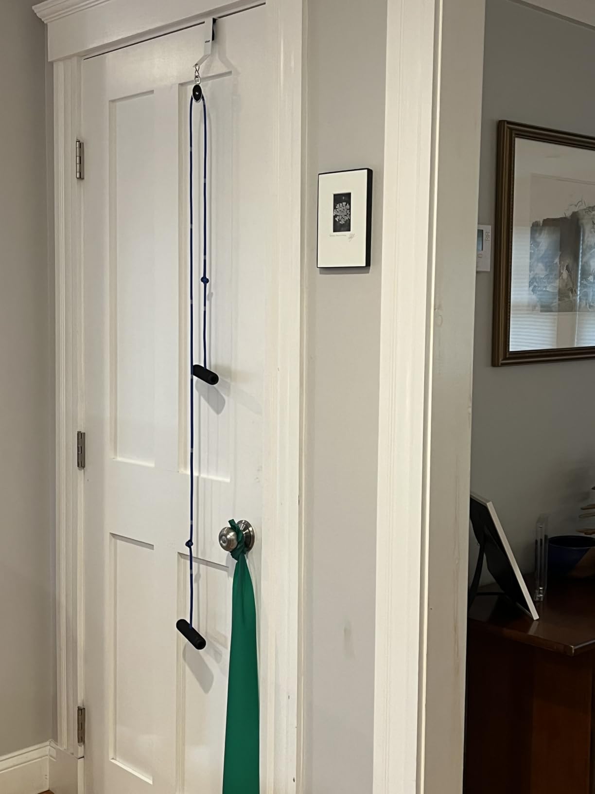 Vive Shoulder Pulley for Physical Therapy - Rotator Cuff Pain Pulley System - Over Door Rehab Exerciser - with Durable Metal Pulley & Comfortable Padded Handles customer photo 2