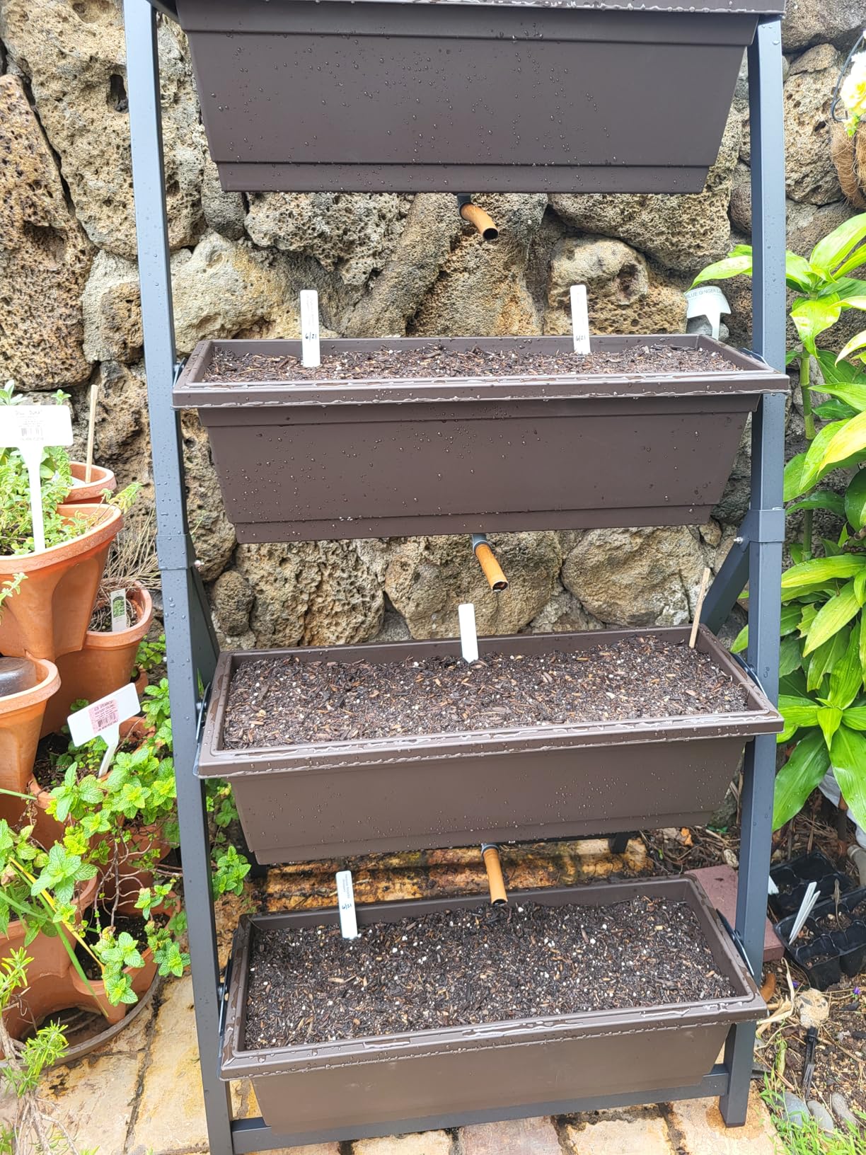 6-Ft Raised Garden Bed - Vertical Garden Freestanding Elevated Planter with 4 Container Boxes - Good for Patio or Balcony Indoor and Outdoor - Perfect to Grow Vegetables Herbs Flowers customer photo 1