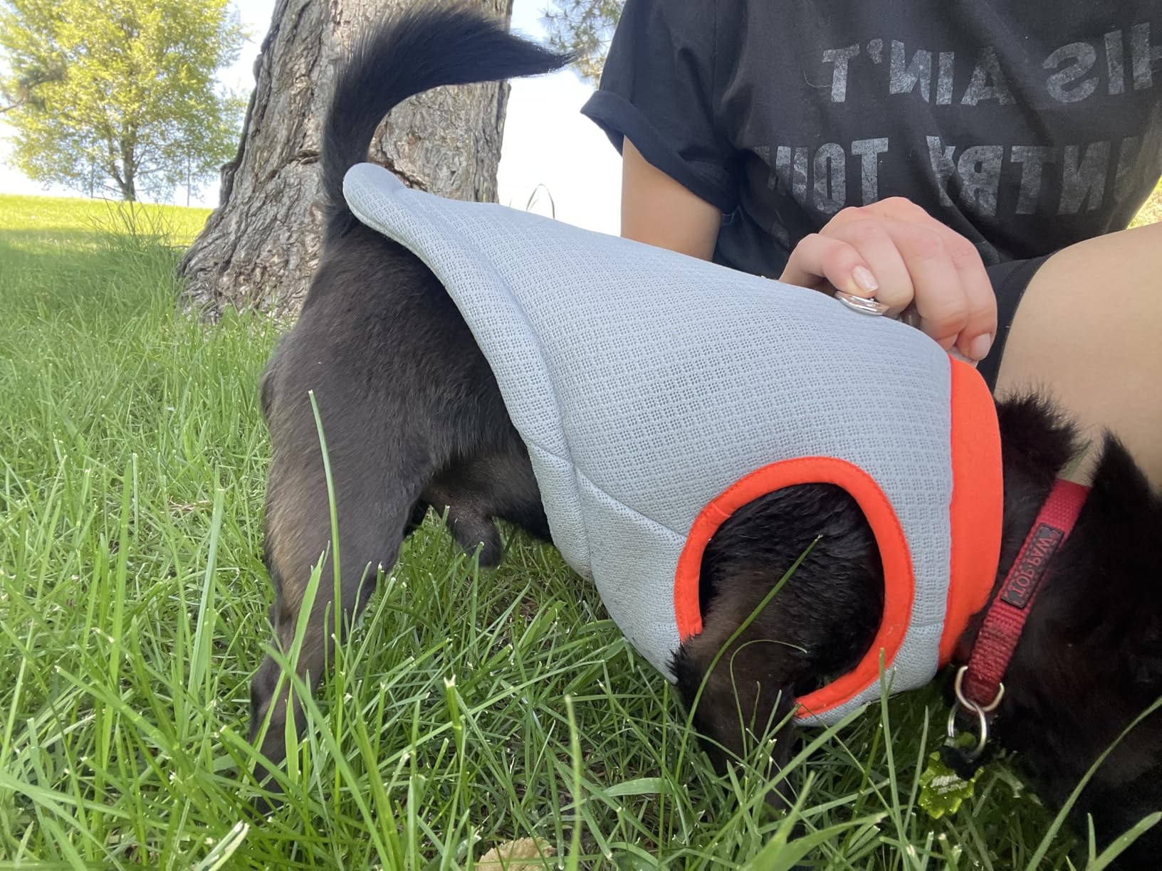 SGODA Dog Cooling Vest Harness Cooler Jacket Grey Green Large customer photo 1