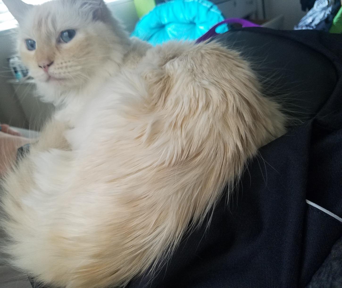 oscaurt Anti Theft Backpack 15.6 Inch Laptop Travel Backpack with Hidden Zipper and USB Charging Port Waterproof Business Computer Bag for Men & Women customer photo 2