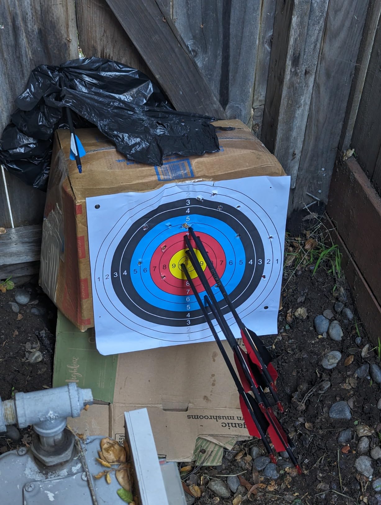 Scott Archery Quick Shot Release Buckle Strap Black, One Size Fits Most customer photo 1