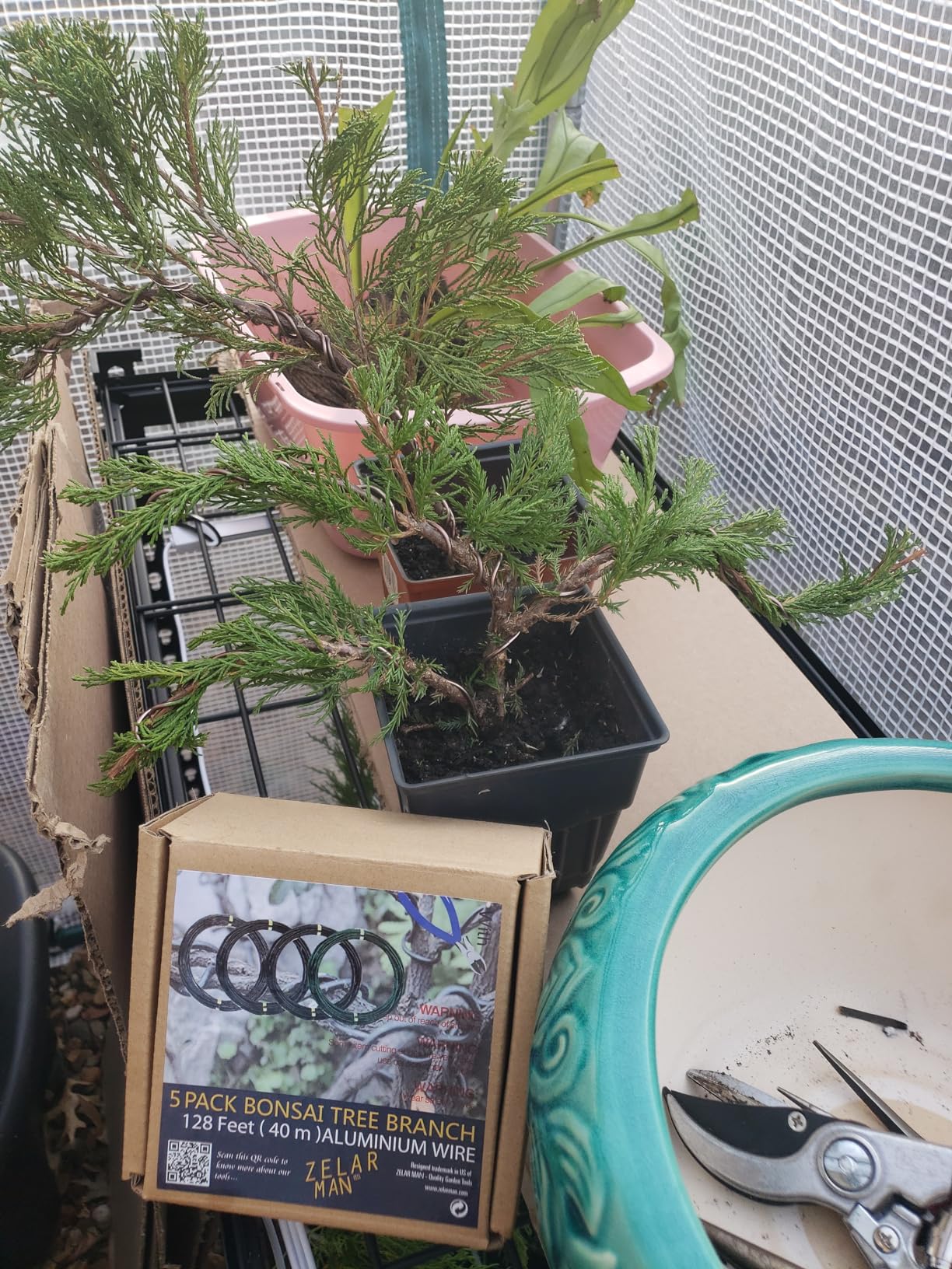 Bonsai Training Wire Set of 4, Total 128 Feet (32 Feet Each Size) 3 Size - 1.0MM, 1.5MM, 2.0MM, Corrosion and Rust Resistant customer photo 1