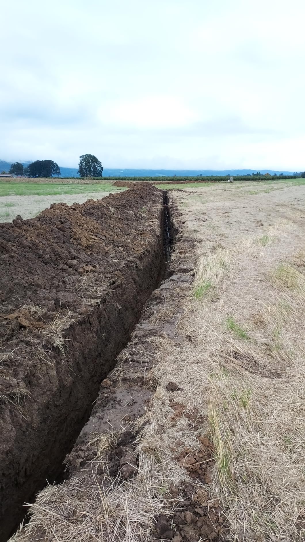 Johnson Level & Tool 99-028K Electronic Self-Leveling Dual Slope Horizontal/Vertical Rotary Laser System, Red, 1 Kit customer photo 1