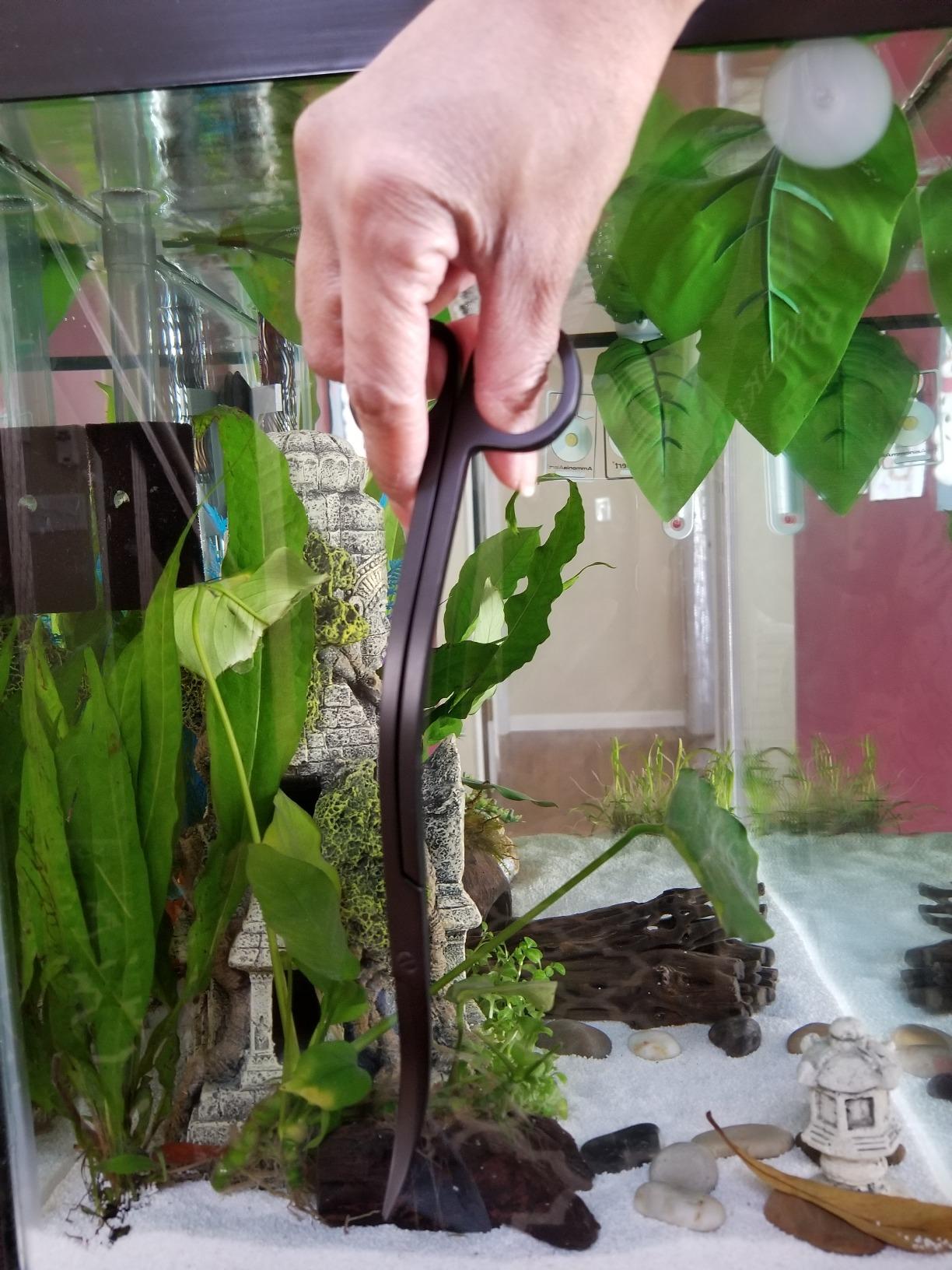 Mandala Crafts Extra Long Stainless Steel Curved Aquarium Scissors for Trimming Aquatic Plants - Wave Aquascape Scissors for Fish Tanks, Hospital Tanks, Goldfish Bowls, Aquariums, and Terrariums customer photo 2