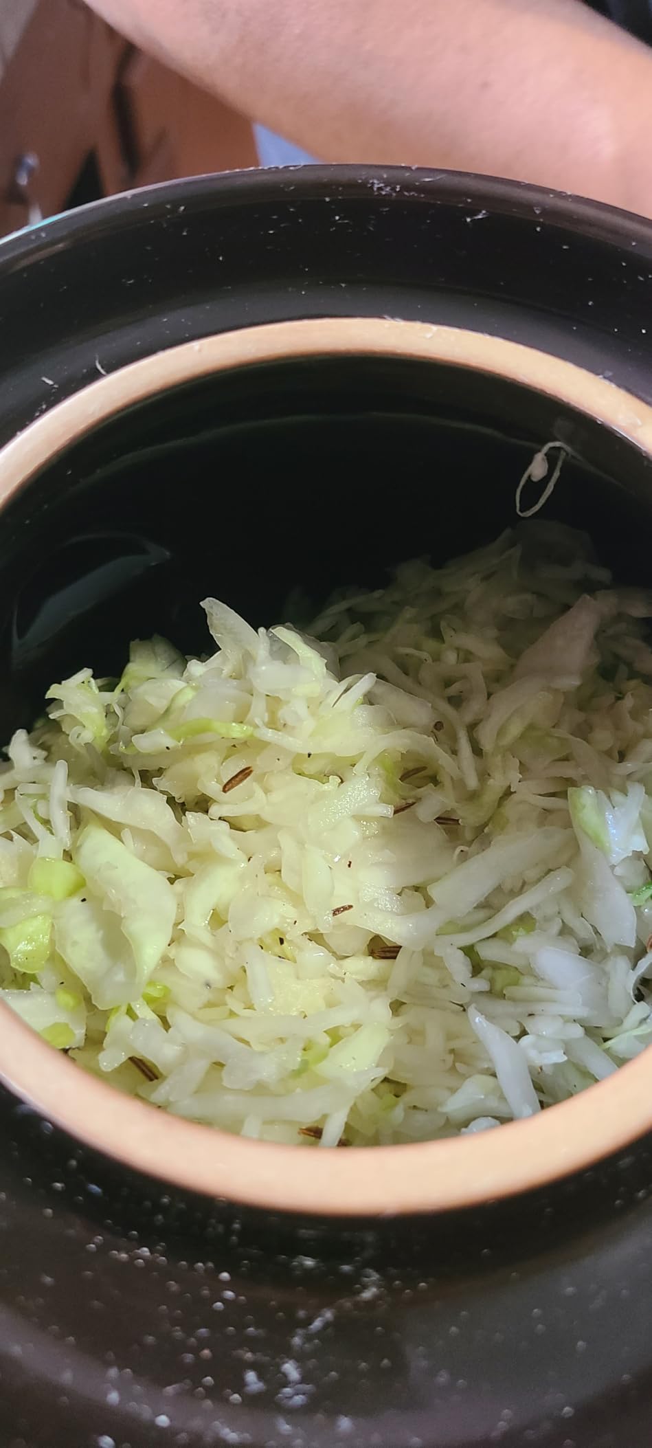 Fermentation Crock 1/2 Gallon - Sauerkraut Crock with Lid, Weights & Pounder - Ceramic Fermenting Crock Kit for Pickling Cabbage Kimchi Vegetables - 2 Liter Fermentation Jar - Stoneware Pickle Pot customer photo 2