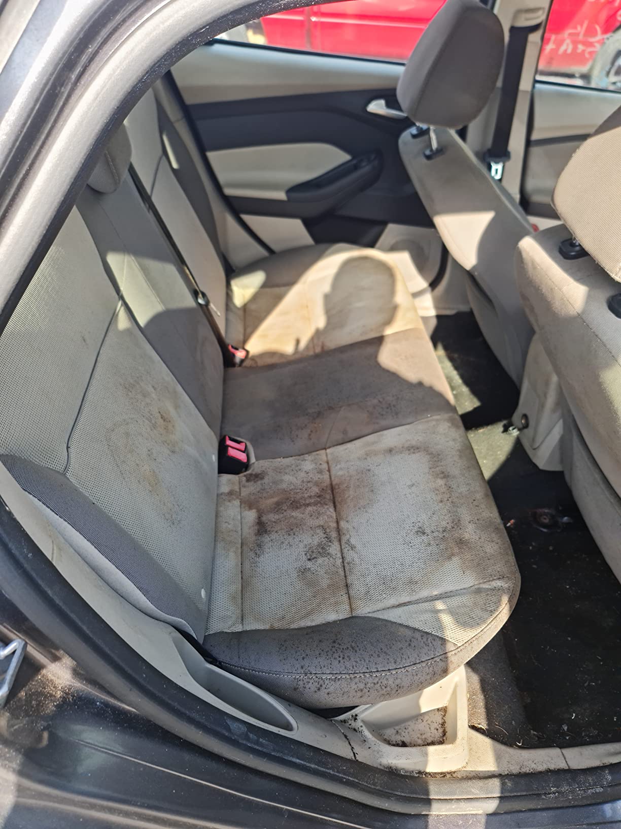 Mytee - S-300H Tempo Heated Extractor is a sub-compact machine, but a full-size performer, Blue/Black customer photo 2