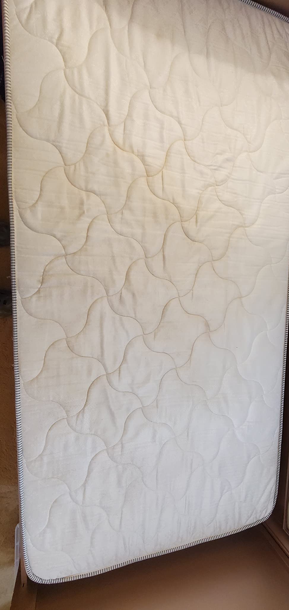 Contractor's Special Heated Carpet Extractor customer photo 2