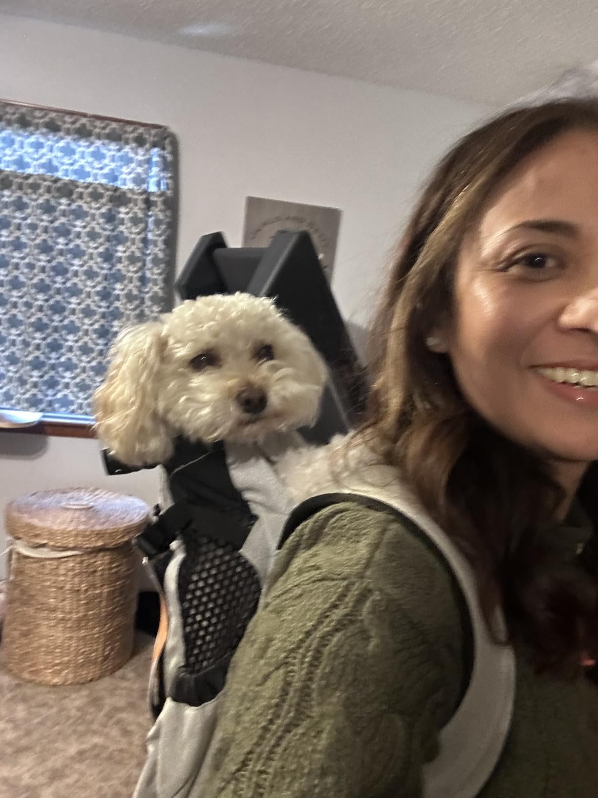 K9 Sport Sack Air 2 - X-Small, Light Grey - Ideal for Dogs with 9-12