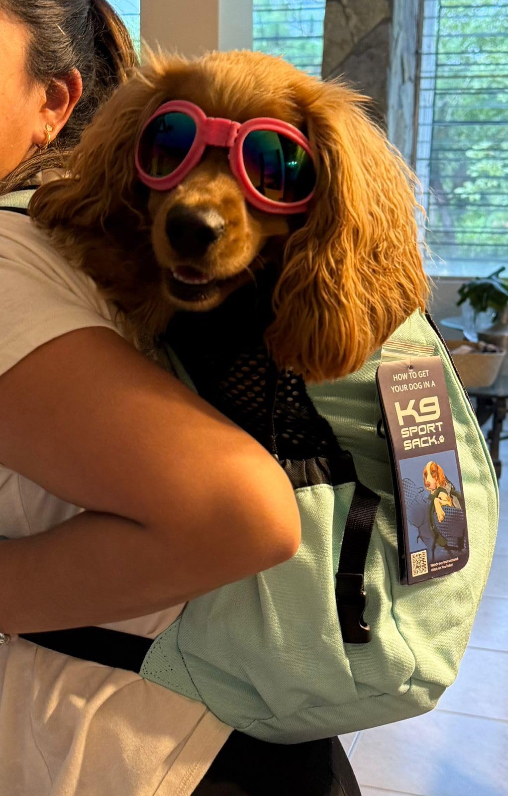 K9 Sport Sack Air 2 - X-Small, Light Grey - Ideal for Dogs with 9-12