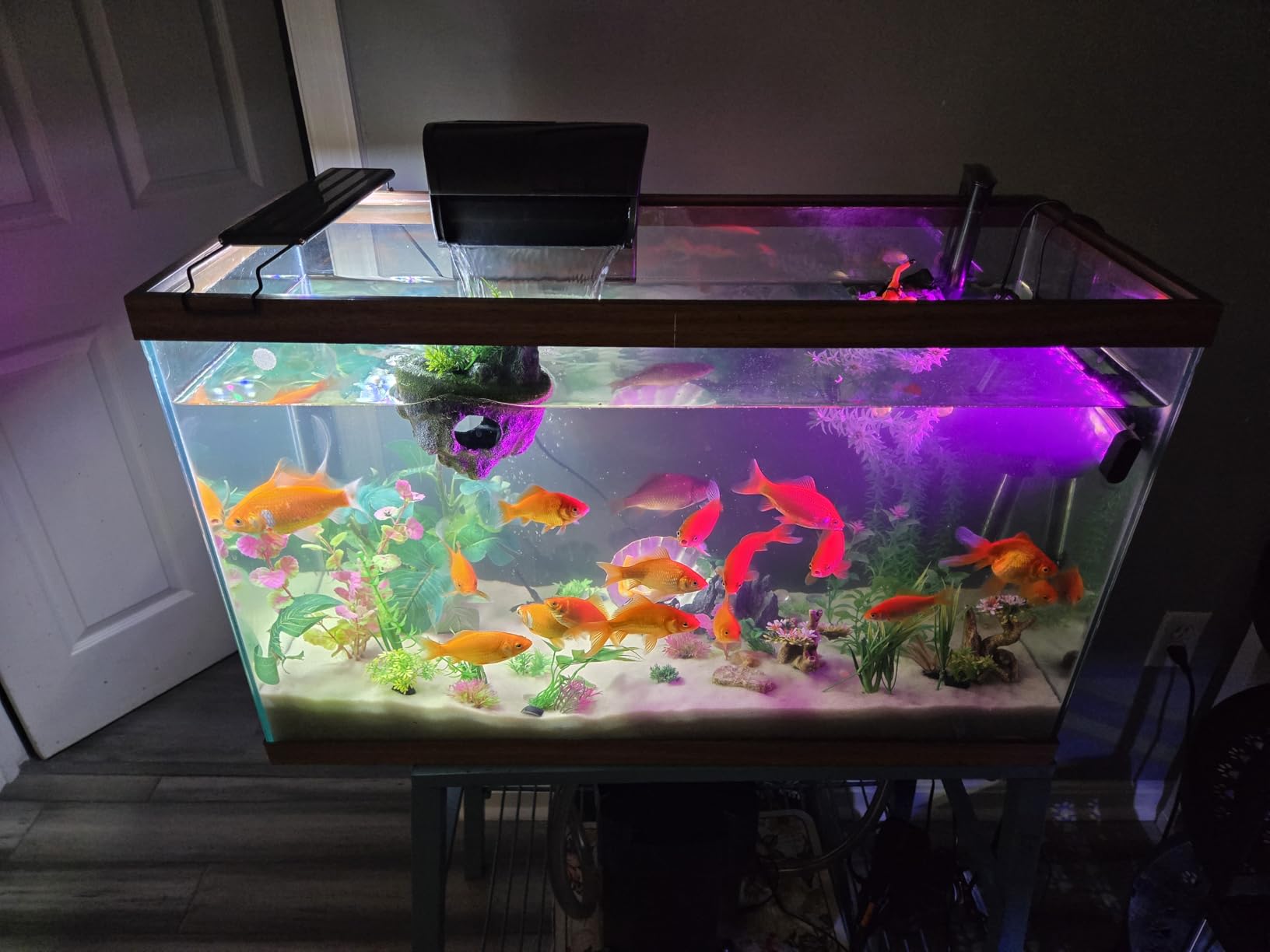 Aqueon QuietFlow Canister Aquarium Filter up to 55 Gallons customer photo 1