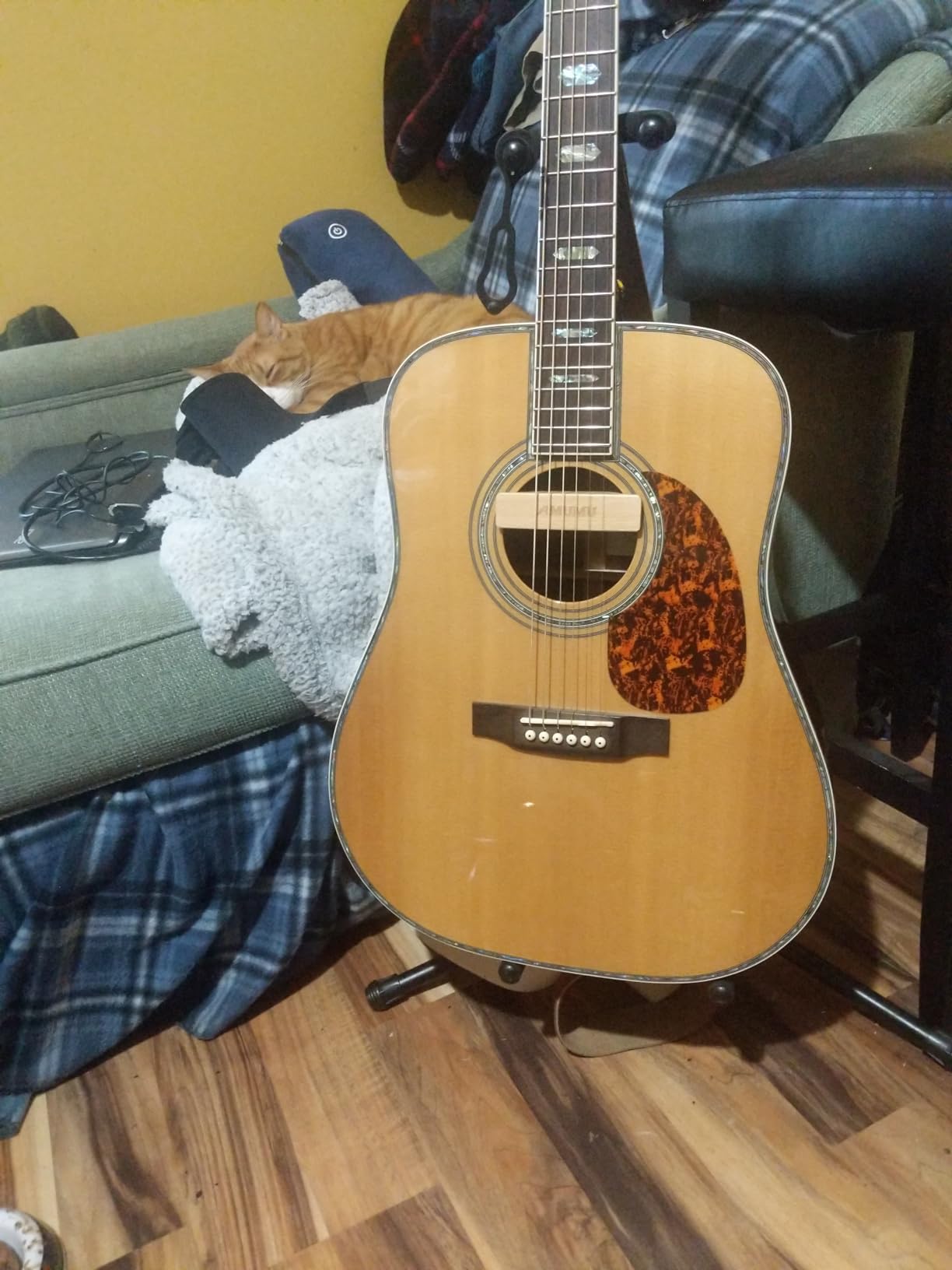 AMUMU SP30 Woody Magnetic Soundhole Pickup with Rare Earth Neodymium Magnet for Steel String Acoustic Guitars - Single Coil, Passive, Battery-Free, Clear & Balanced Acoustic Tone customer photo 1