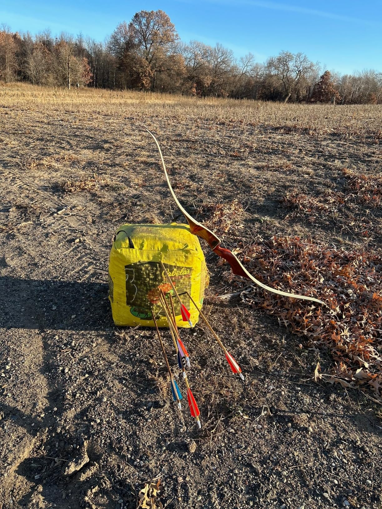 KESHES Dacron Bow String Replacement for Archery Recurve Traditional & Longbow Bows Bowstring - Sizes 12, 14, 16 Strands - Length Sizes 44-70 Inches, 2 Brass Nocks Included customer photo 1