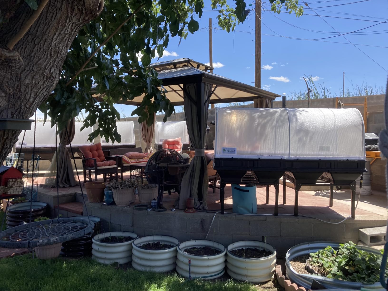 Vegepod - Raised Garden Bed - Self Watering Container Garden Kit with Protective Cover, Easily Elevated to Waist Height, 5 Years Warranty (Large) customer photo 1