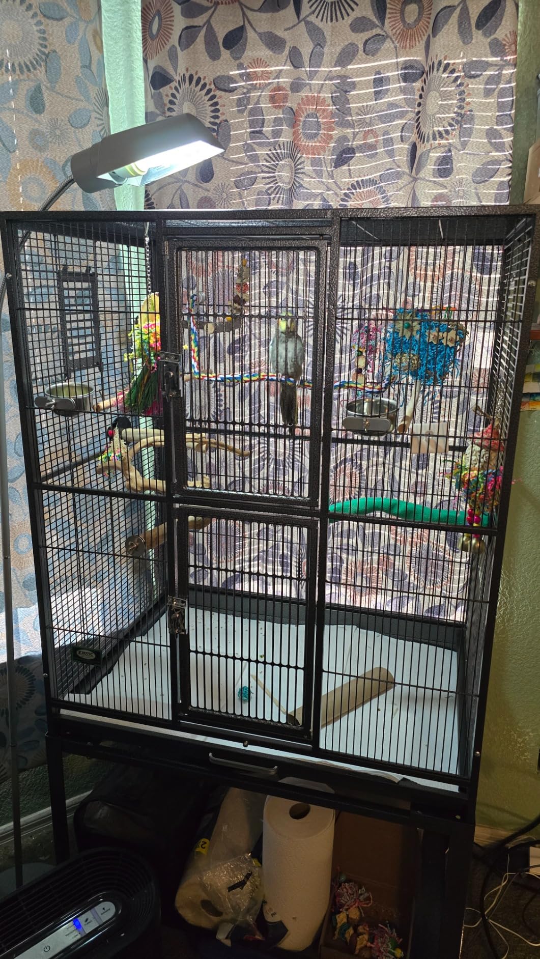 Brisbane Cage (Black) - Large Spacious Durable Metal Cage - for Sugar Gliders, Chinchillas, Squirrels, Ferrets & Other Small Pets customer photo 1