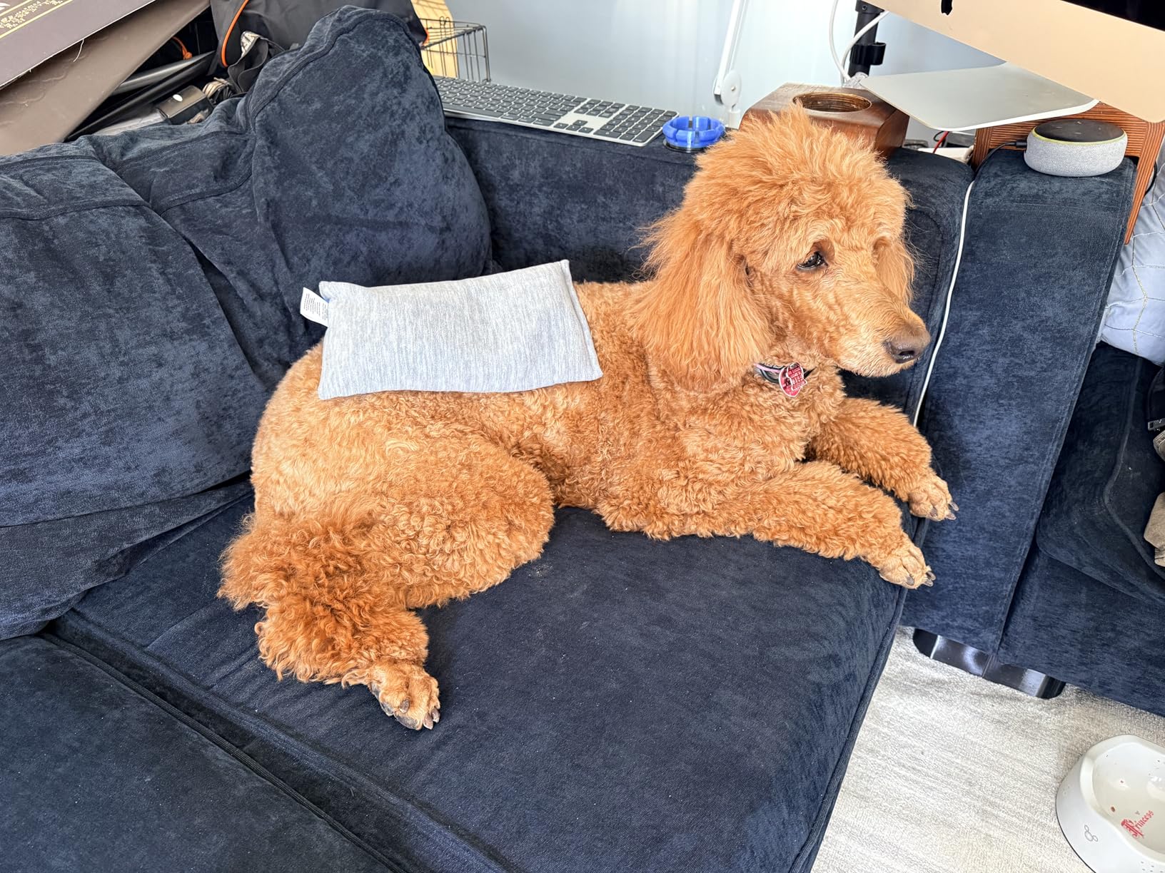 SacksyThyme Microwave Heating Pad for Cramps, Back, Neck, Shoulders, Leg Pain - Reusable Heat Pack, Hot Moist Microwavable Therapy Pack - Unscented Flaxseed Hot Compress Made in USA (Size: 12