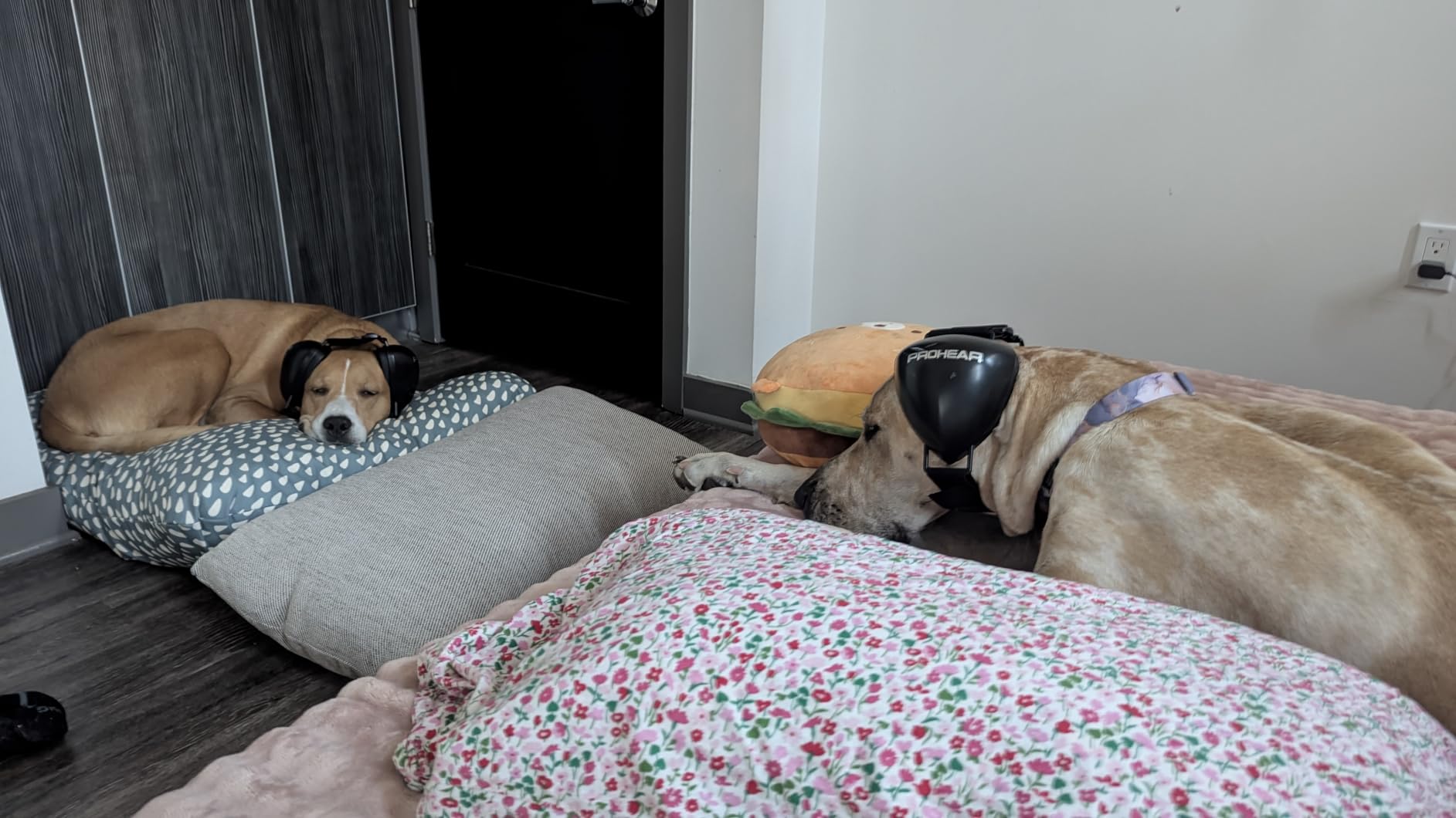 SNOOZ Smart White Noise Sound Machine - Real Fan Inside for Non-Looping White Noise, Sleep Aid for Adults, Travel, Sleeping, Bedroom, Portable, Baby Registry Essential - Cloud customer photo 2