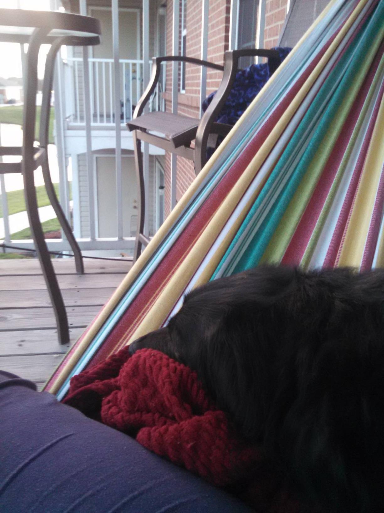 Vivere Double Cotton Hammock with Space Saving Steel Stand, Upgraded Polyester End Strings 450 lb Capacity - Premium Carry Bag Included - USA Grown Cotton (Natural) customer photo 1