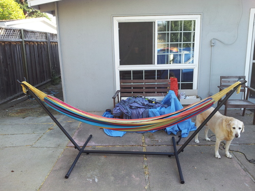 Vivere Double Cotton Hammock with Space Saving Steel Stand, Upgraded Polyester End Strings 450 lb Capacity - Premium Carry Bag Included - USA Grown Cotton (Natural) customer photo 2