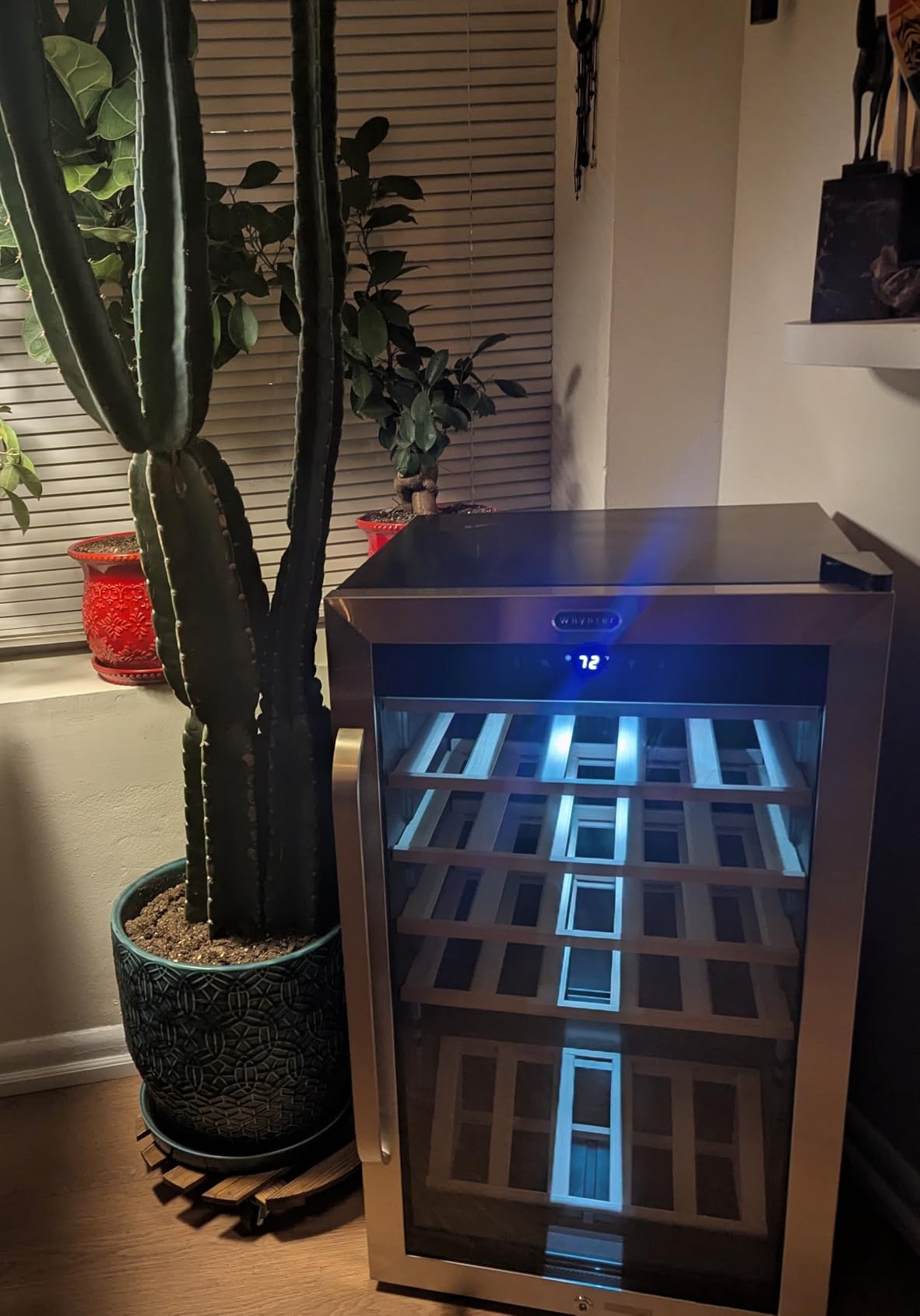 Whynter FWC-341TS 34 Bottle Freestanding Stainless Steel Wine Refrigerator with Display Shelf and Digital Control, Gray customer photo 2