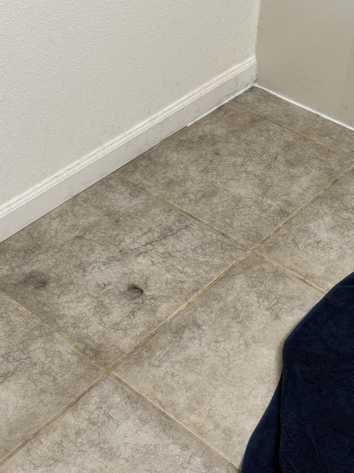 High-Velocity Dog Dryer for Grooming - Quiet Pet Hair Blow Dryer with Heater, 4 Nozzles & Adjustable Speed - Professional Dog Blower for Large Dogs, Thick Coats & Deshedding customer photo 1