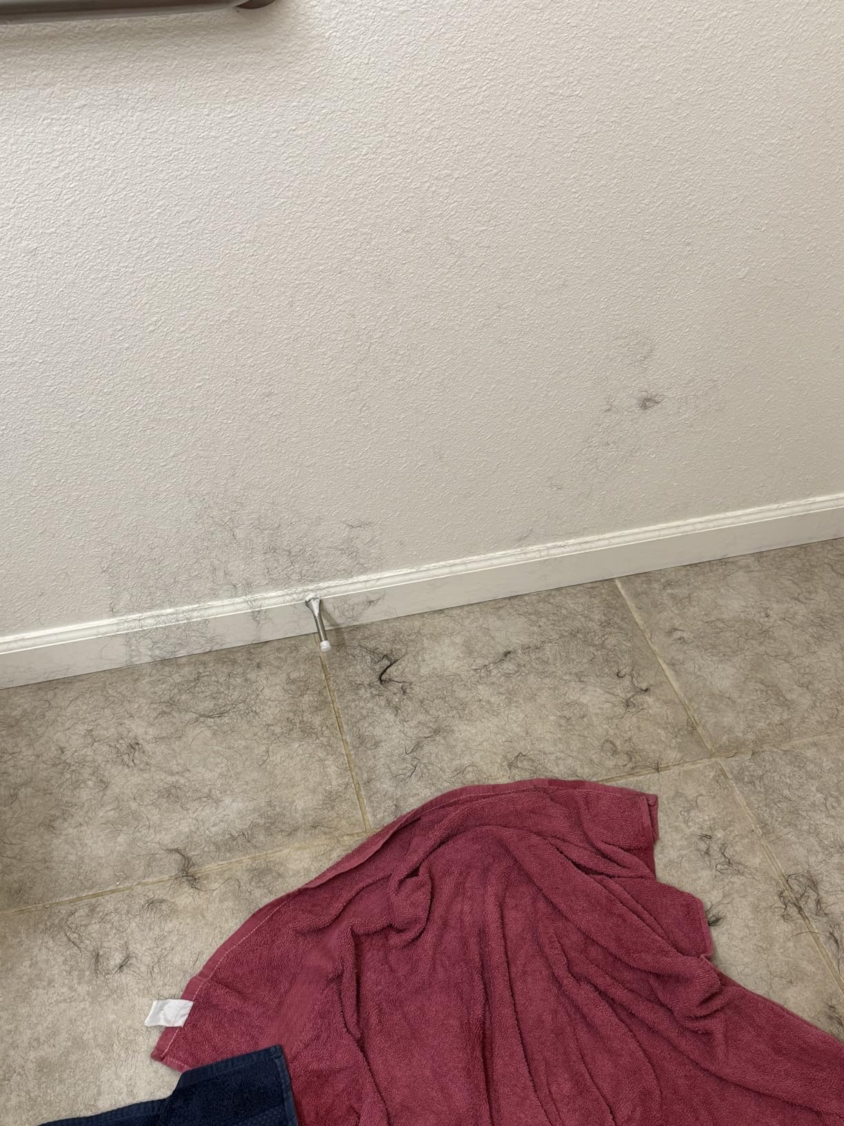 High-Velocity Dog Dryer for Grooming - Quiet Pet Hair Blow Dryer with Heater, 4 Nozzles & Adjustable Speed - Professional Dog Blower for Large Dogs, Thick Coats & Deshedding customer photo 2