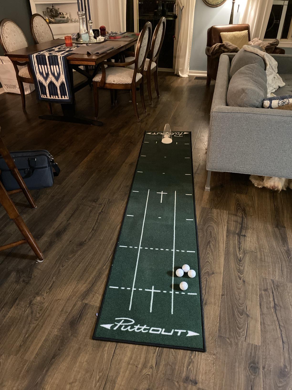 PuttOut Medium Putting Mat - Perfect Your Golf Putting (7.9ft x 1.6ft)(Green) customer photo 1